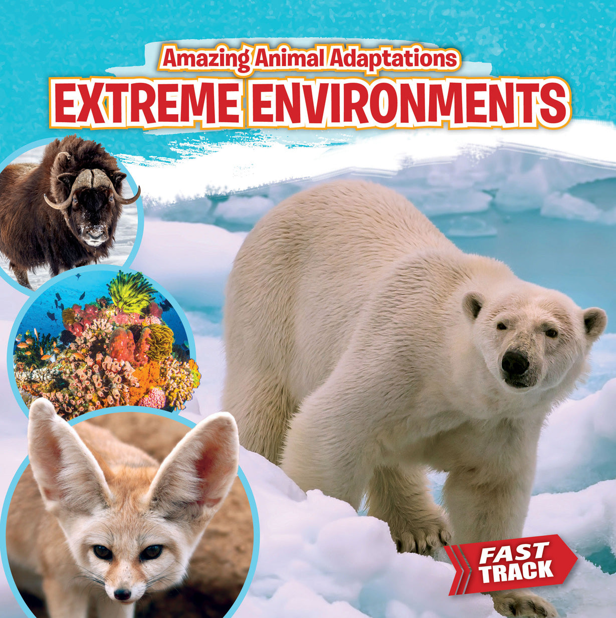 Extreme Environments Outdoor Gear - Durable & High-Performance Equipment for Hiking, Camping & Survival - Perfect for Adventurers & Explorers