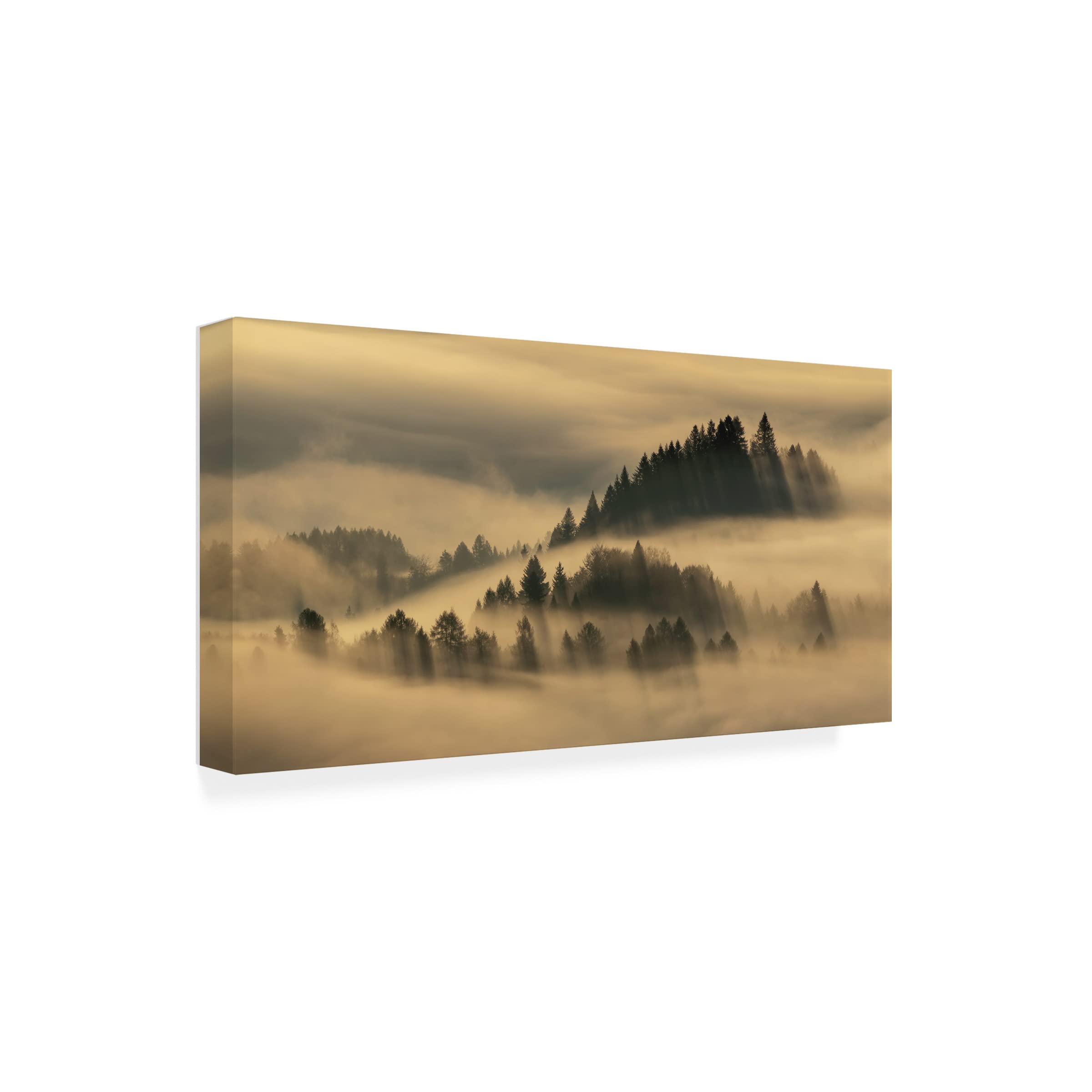 Trademark Fine Art 'Pieniny Foggy' Canvas Wall Art Print by Wojciech Kruczynski - Landscape Painting for Living Room, Bedroom & Office Decor