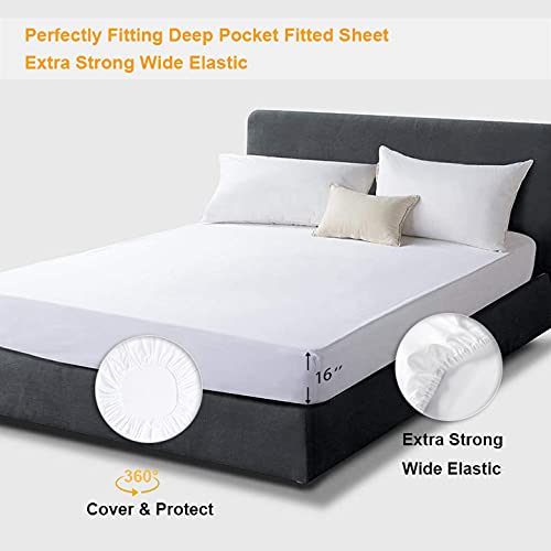 Premium 100% Egyptian Cotton Deep Pocket Fitted Sheet Queen Size - Fits Mattresses Up to 16