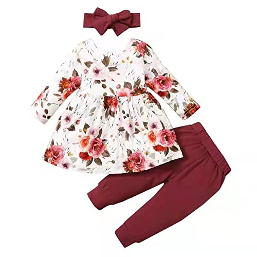 Weimuyuan Newborn Baby Girl Clothes - Floral Print Pant Sets | Soft Cotton Outfits for 0-24 Months | Cute Infant Girl Fashion for Photos, Parties & Daily Wear