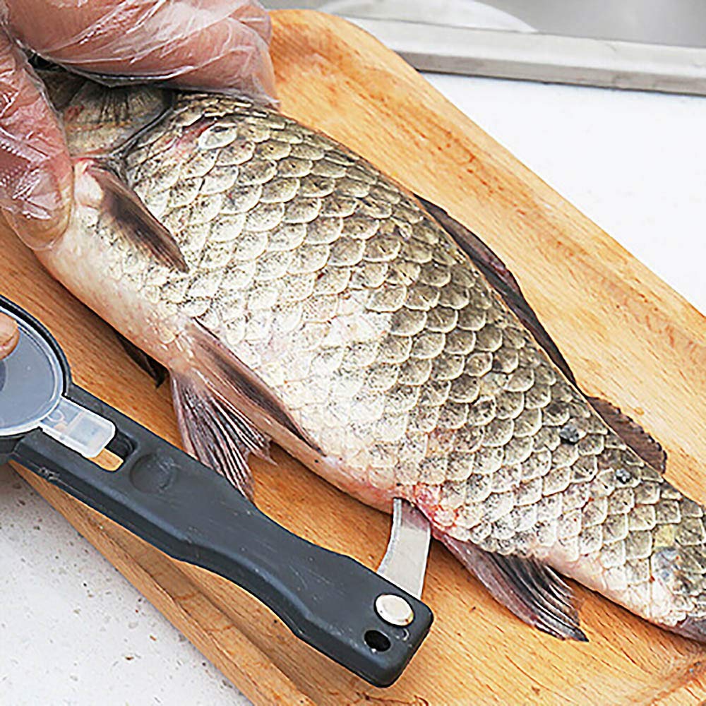 Premium Fish Scale Remover Tool - Stainless Steel Kitchen Scraper for Effortless Fish Cleaning | Perfect for Home Cooking, Camping & Outdoor BBQ Prep