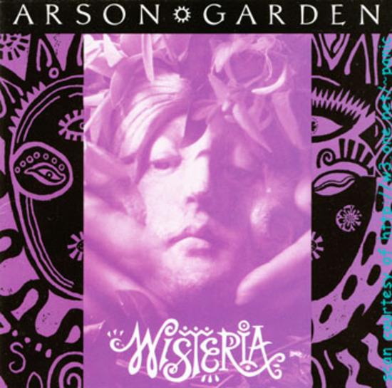 Arson Garden Wisteria - Beautiful Purple Wisteria Vine for Home Garden Decor, Landscaping, and Outdoor Wedding Decorations