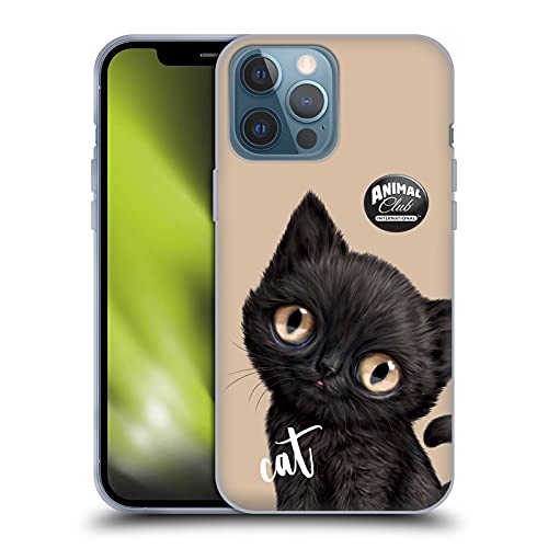 Black Cat