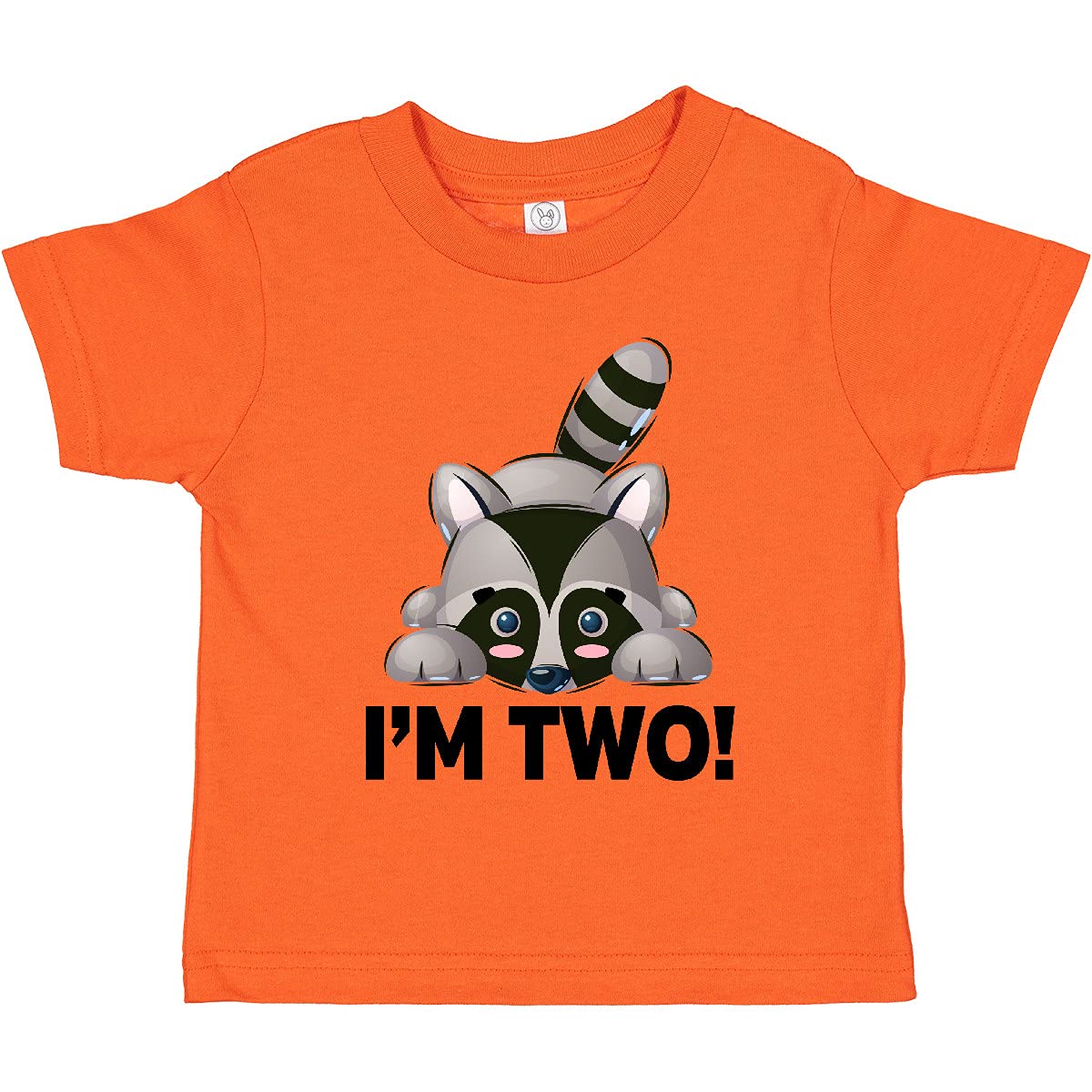 2nd Birthday Raccoon Toddler T-Shirt for 2 Year Olds - Cute Animal Graphic Tee for Birthday Parties & Casual Wear