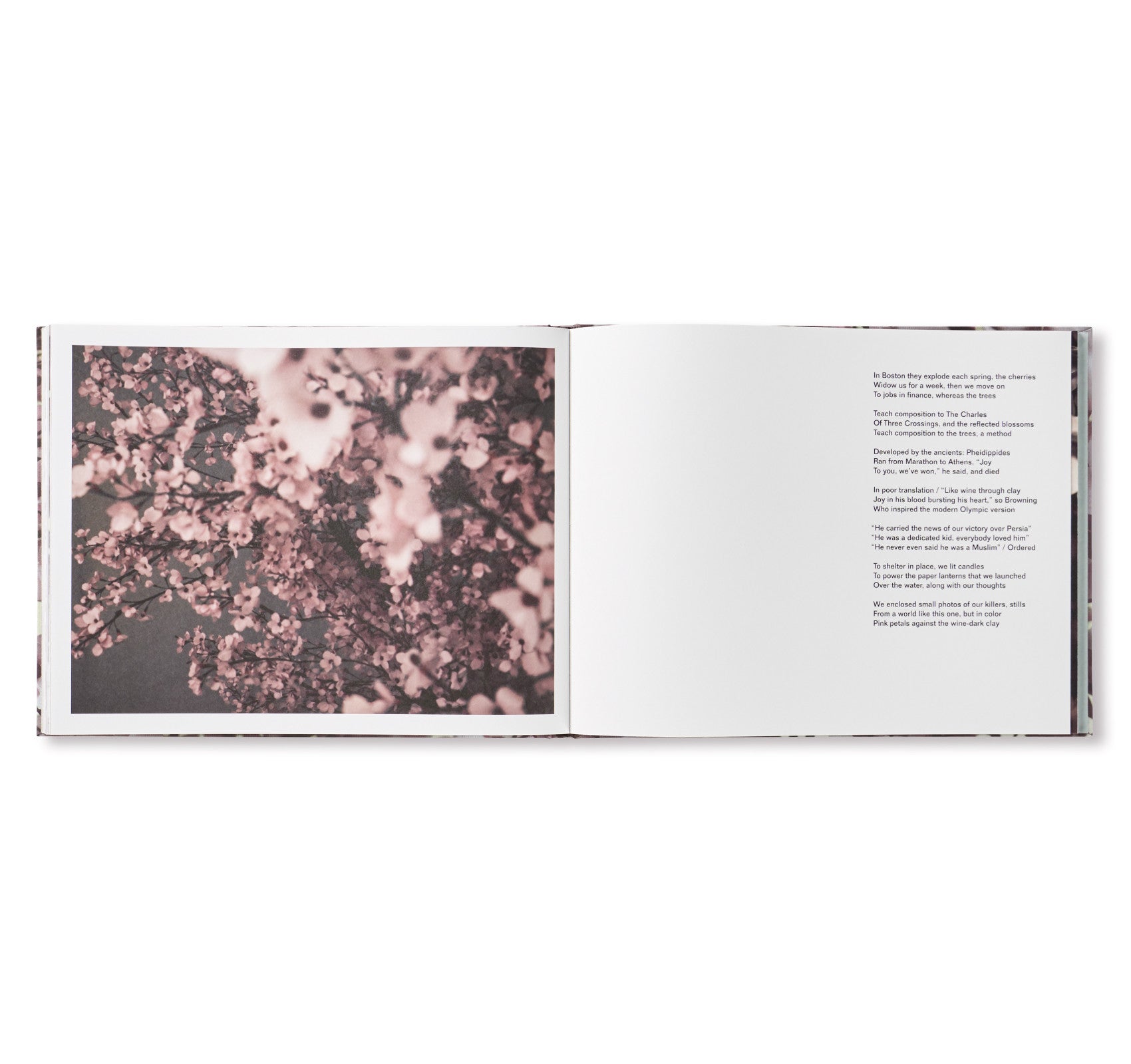 BLOSSOM by Thomas Demand & Ben Lerner - Art Book Collection for Modern Home Decor, Perfect for Coffee Table Display and Contemporary Art Lovers