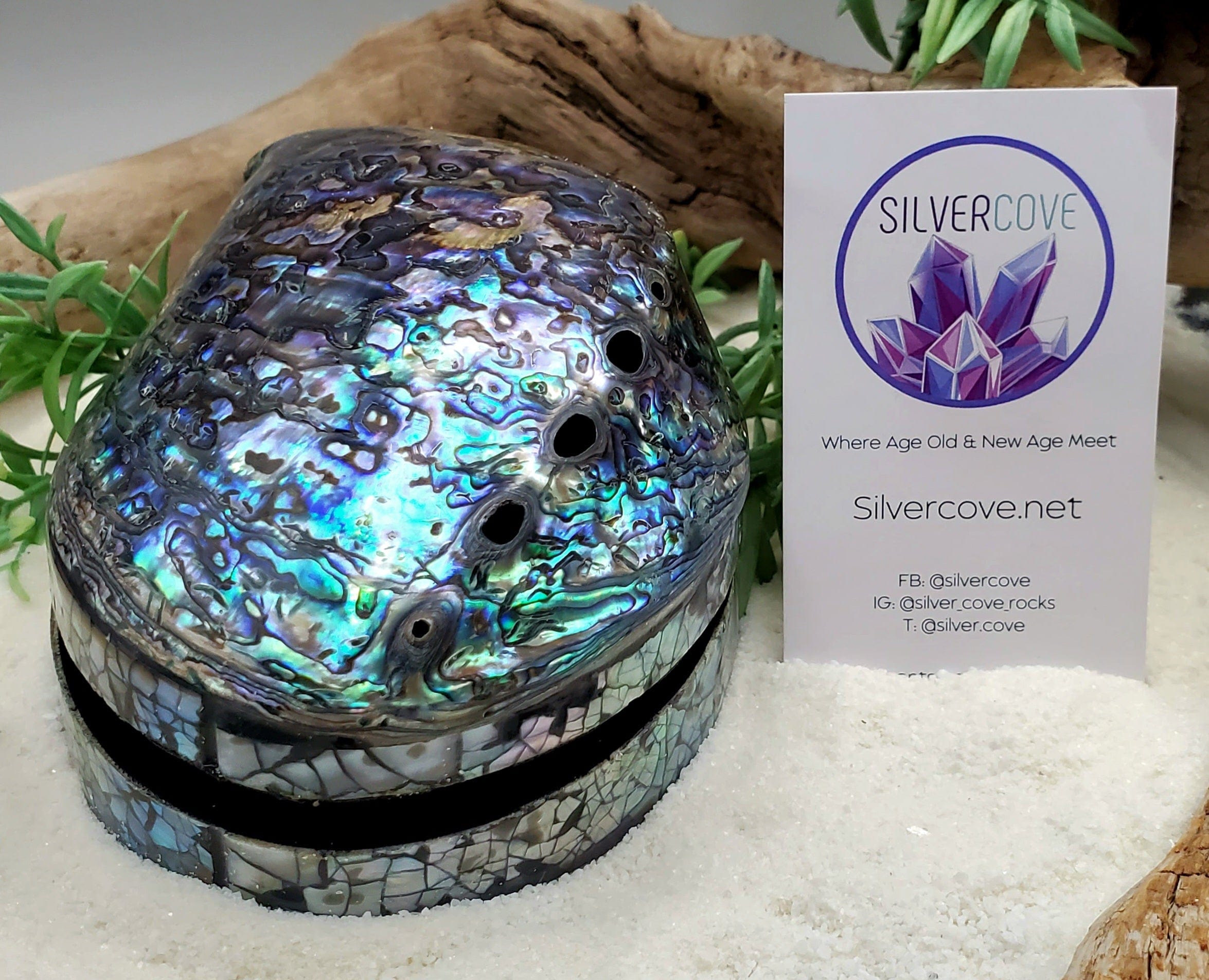 Elegant Abalone Shell Trinket Box - Handmade Jewelry Storage Organizer for Rings, Earrings & Small Keepsakes - Perfect for Beach House Decor, Boho Chic Bedroom & Gift Giving
