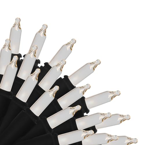 Clear, Black wire (100 Lt)