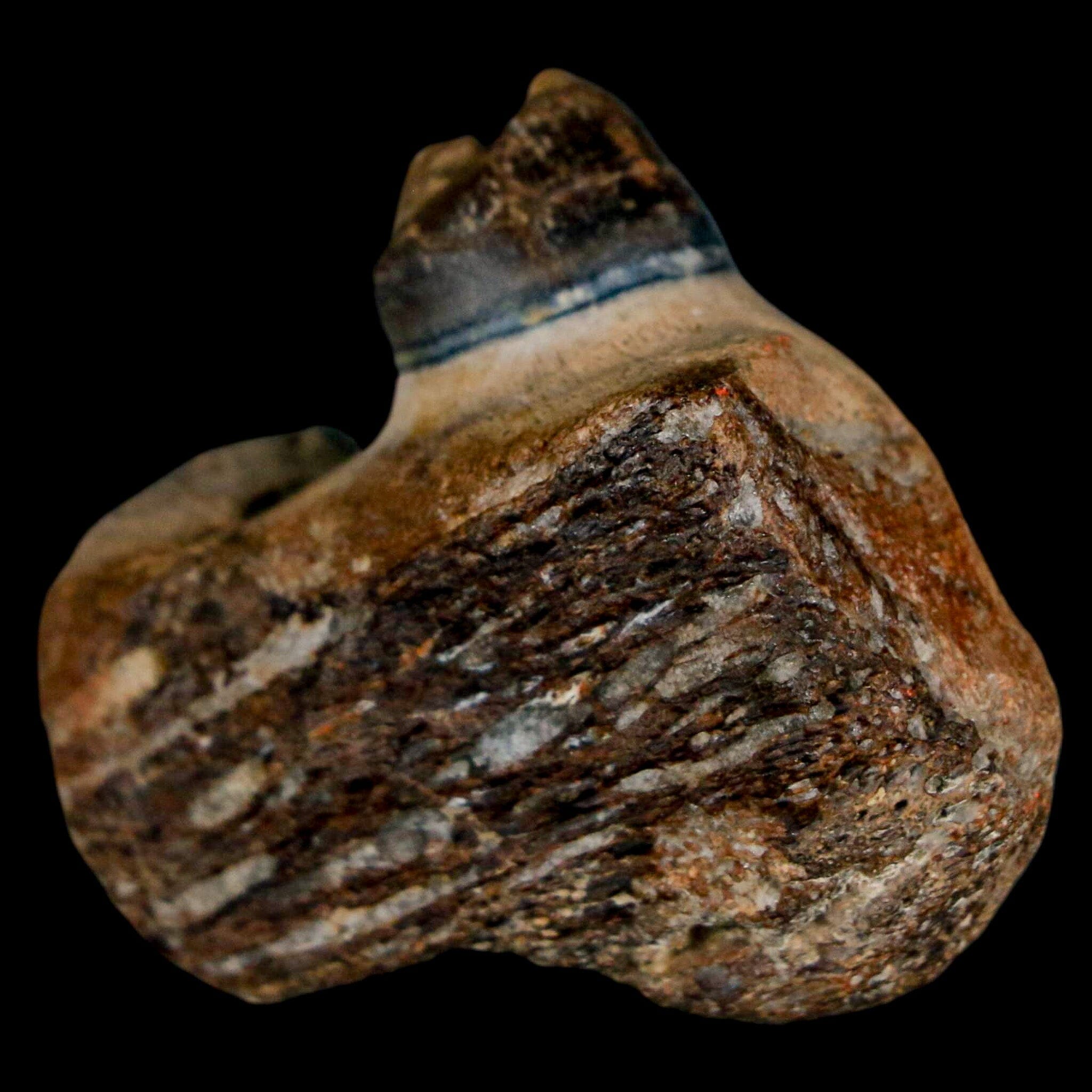 1.5