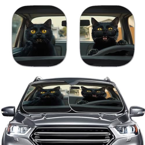 Funny Black Cat