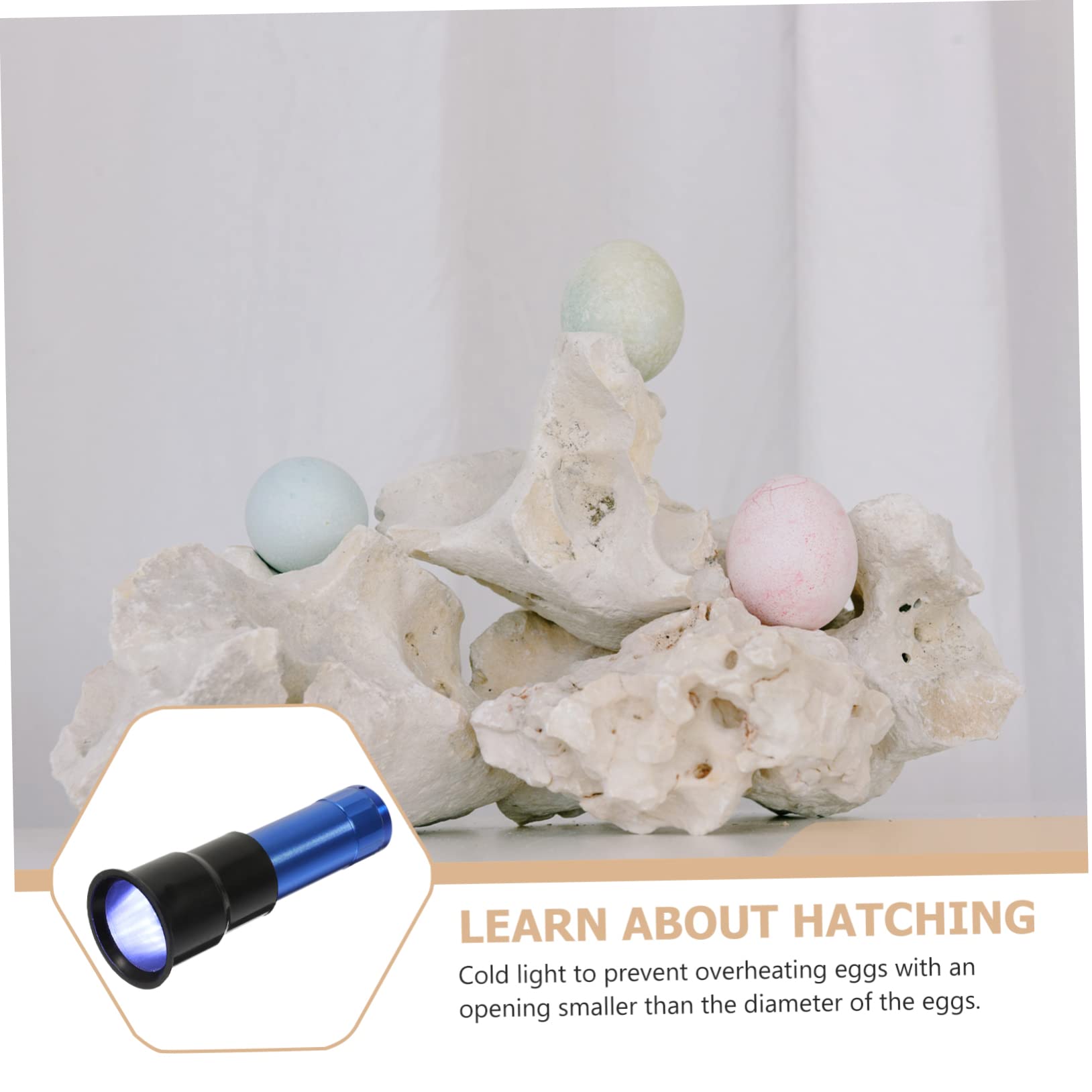 Professional Handheld Egg Candler Lamp - Poultry Incubation Light for Chicken & Quail Eggs Testing | Portable Egg Candling Tool for Farmers & Hobbyists | Perfect for Home Hatcheries & Farm Use