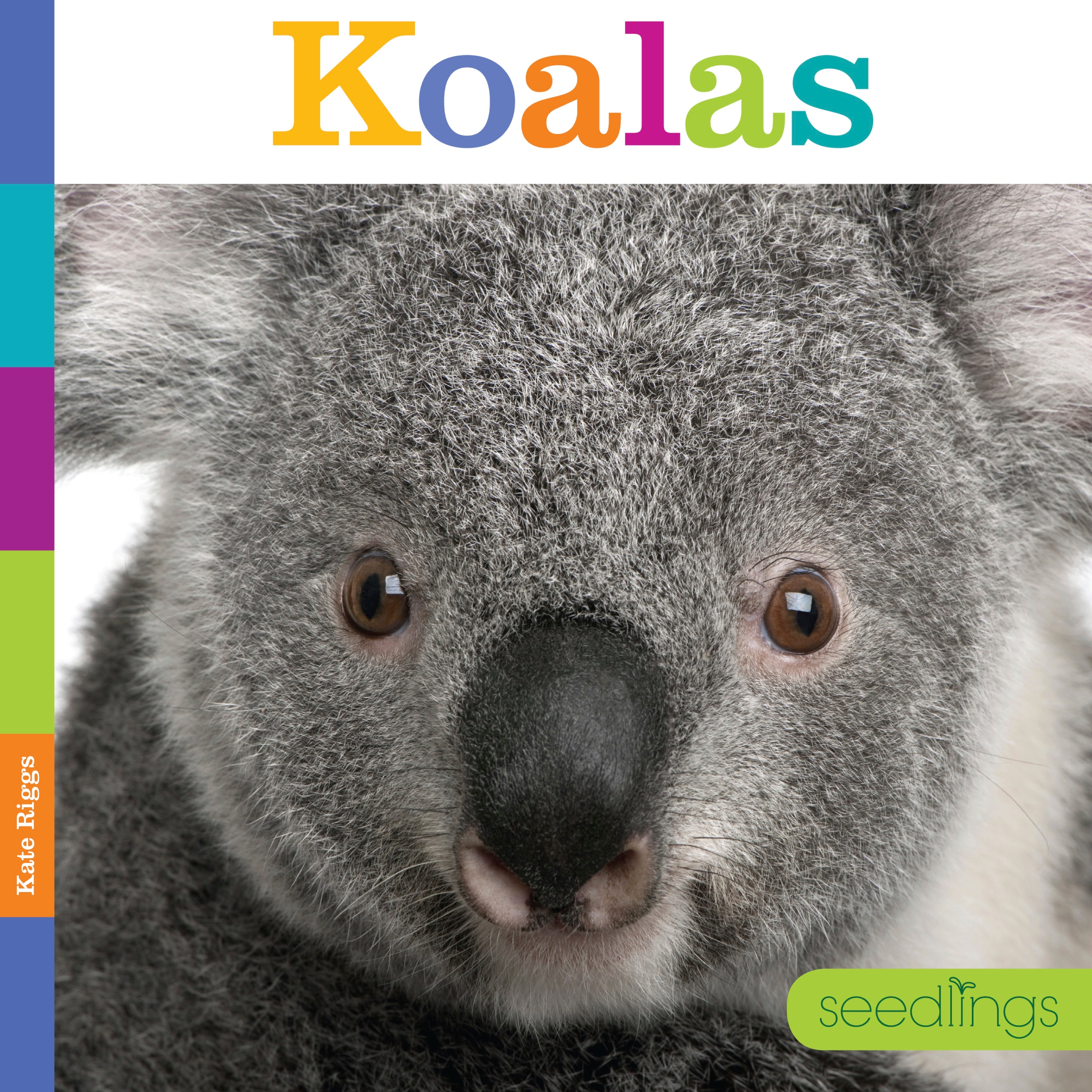Koalas Book - ISBN 9781608184552 - Learn About Koalas for Kids & Adults - Perfect for School Projects & Animal Lovers