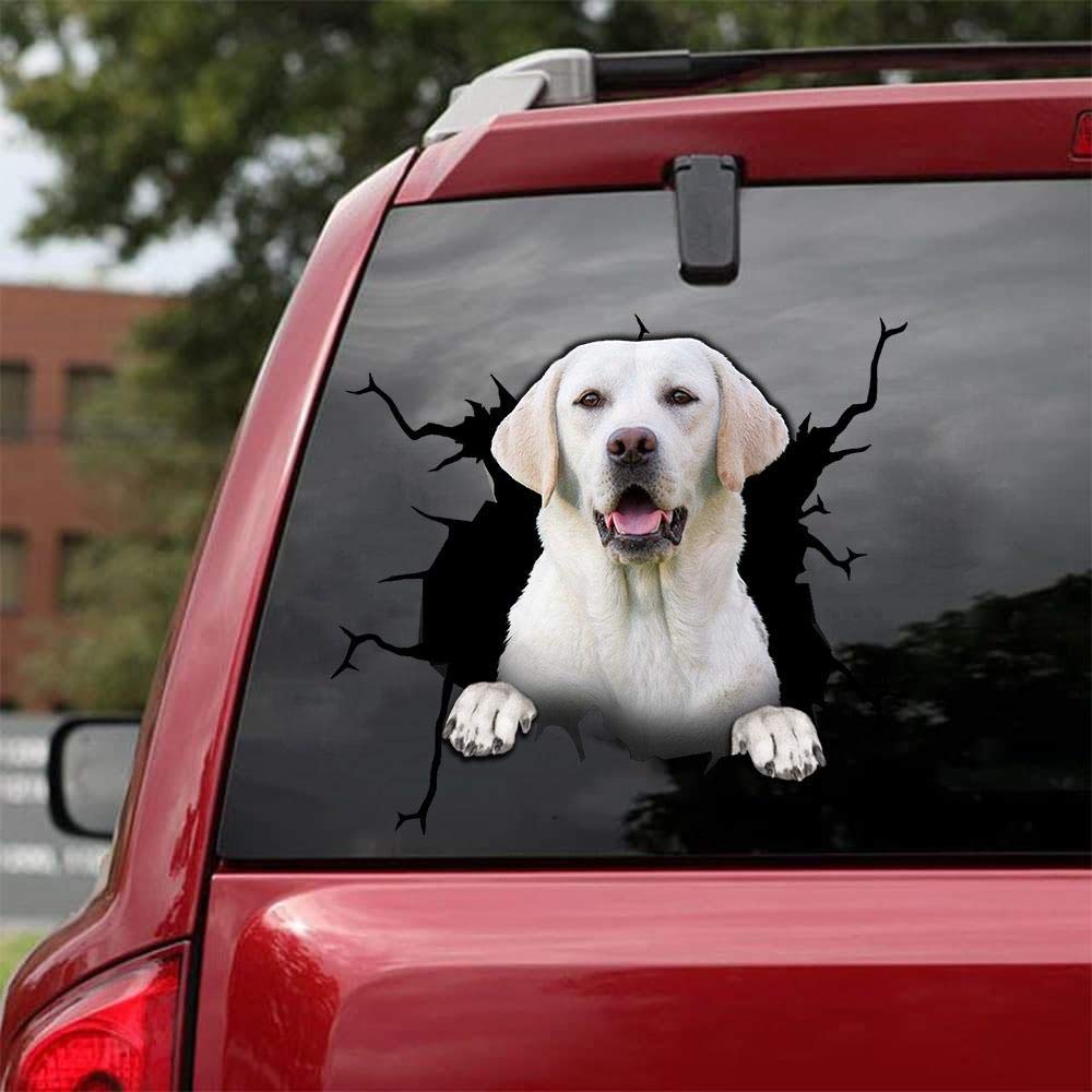 Realistic Labrador Retriever Car Decals - Pack of 2 Dog Stickers for Windows & Walls (8