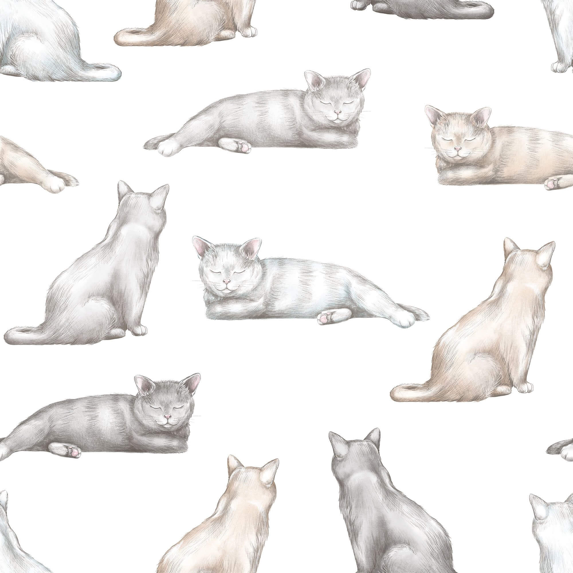 Grey Cat Peel and Stick Removable Wallpaper - Self-Adhesive Decorative Wall Covering for Bedroom, Nursery, or Office Decor