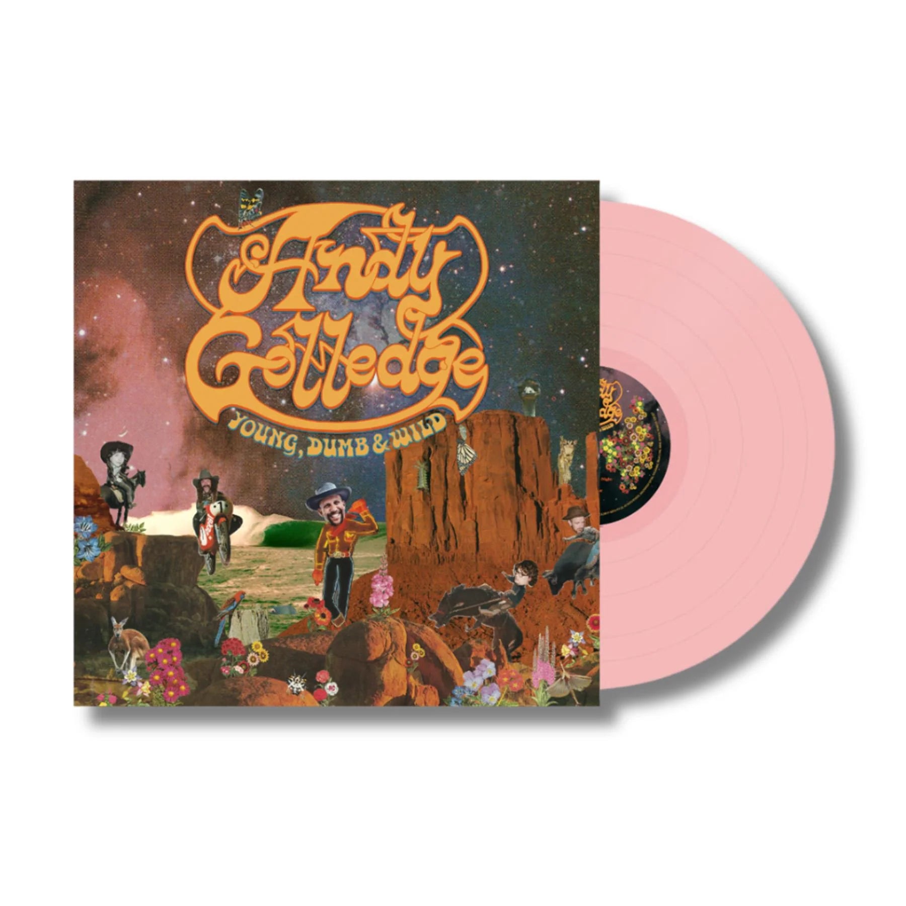 Andy Golledge - Young, Dumb & Wild Vinyl LP Record | Country Folk Music Album for Collectors & Music Lovers | Perfect for Home Listening & Gifts