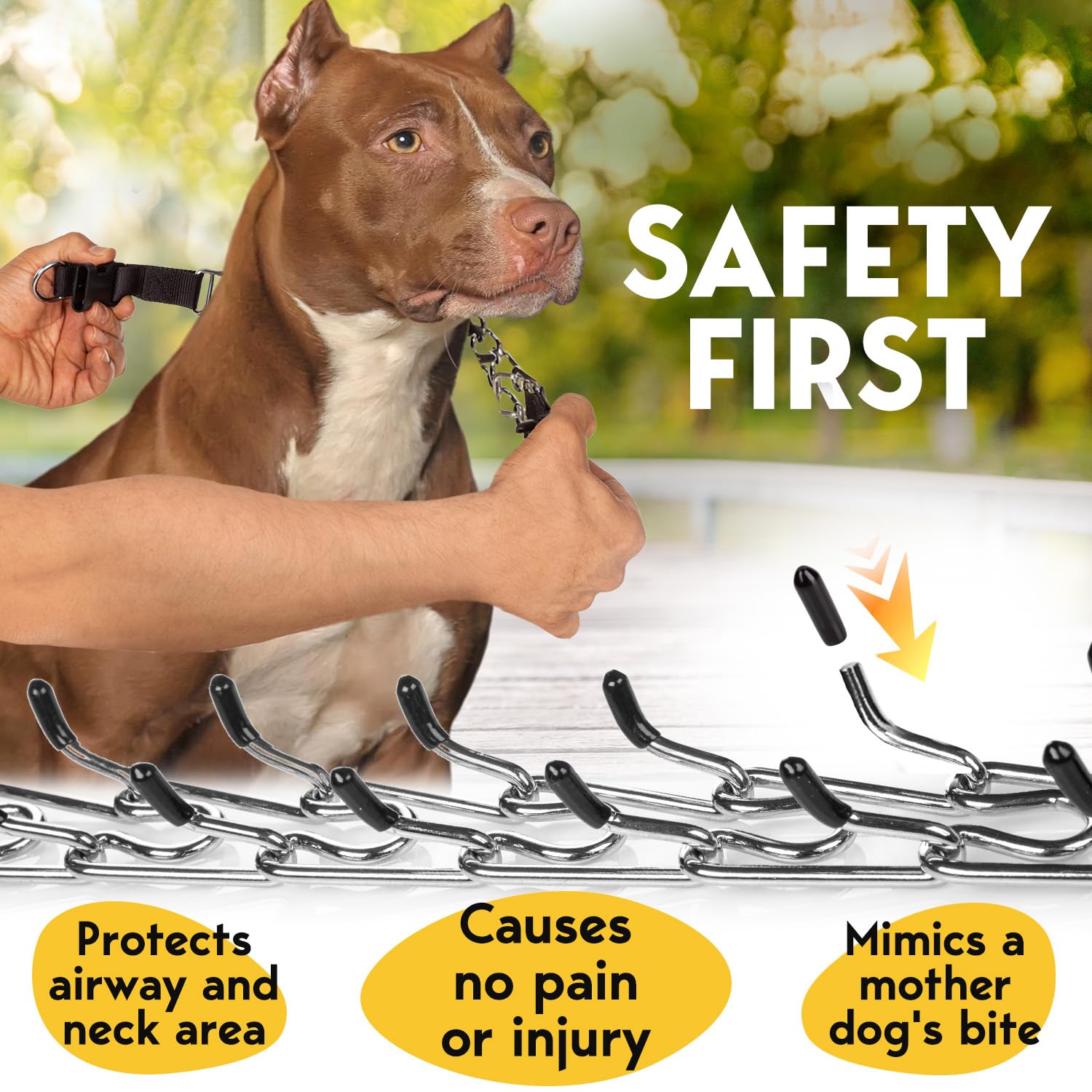 PetJett Prong Collar for Dogs - No Pull Training Collar, Adjustable Pinch Collar for Small Medium Large Breeds - Stainless Steel Choke Chain for Obedience & Walking - Perfect for Aggressive Pullers & Leash Training