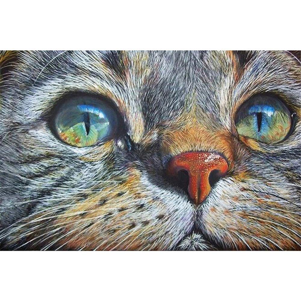 Wood Framed Paint by Numbers Kit with Brushes & Acrylic Paints - Cat Face Portrait DIY Art for Beginners | Home Decor, Gift Idea, Stress Relief Activity