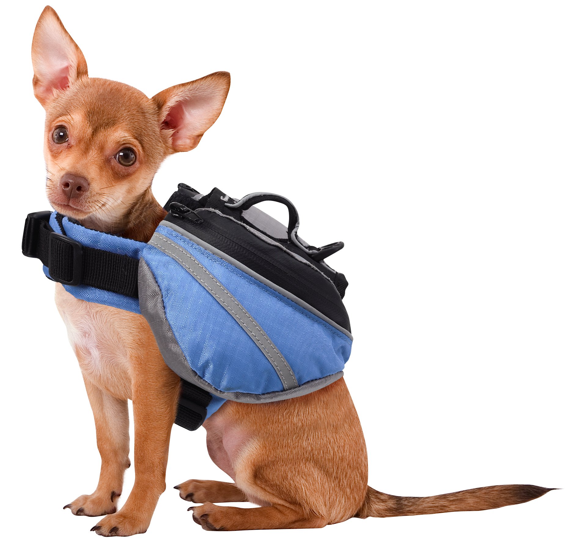 Doggles Dog Backpack for Small Dogs - Lightweight & Durable Pet Carrier with Adjustable Straps - Perfect for Hiking, Travel & Outdoor Adventures (Blue/Gray)