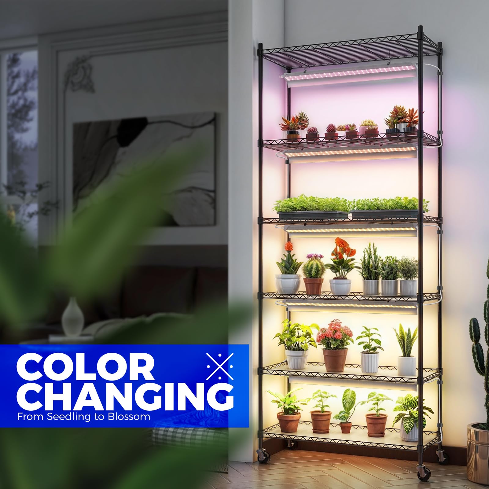 Barrina 6-Tier Metal Plant Stand with Grow Lights - 5Pcs 2FT 30W Full Spectrum LED Plant Lights, 3 Adjustable Spectrum & Timer - Indoor Plant Shelf Display Rack (29.5x13.8x71 Inches) - Perfect for Home Gardening, Living Room Decor, and Indoor Herb Growing