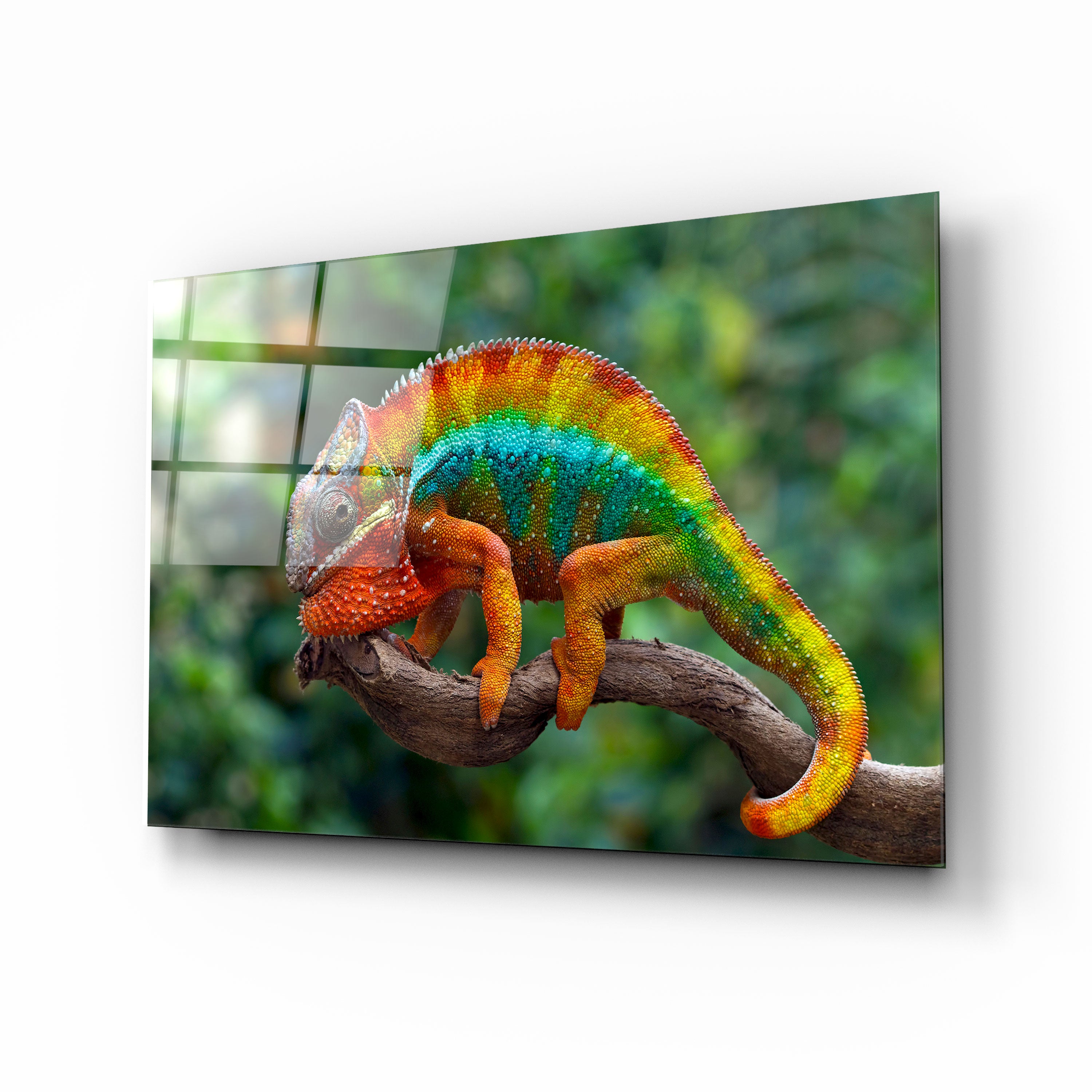 Chameleon II - Premium Multi-Color Changing LED Mood Light for Home Decor, Parties & Bedroom Ambiance | Energy Efficient RGB Lighting Solution for Relaxation & Entertainment