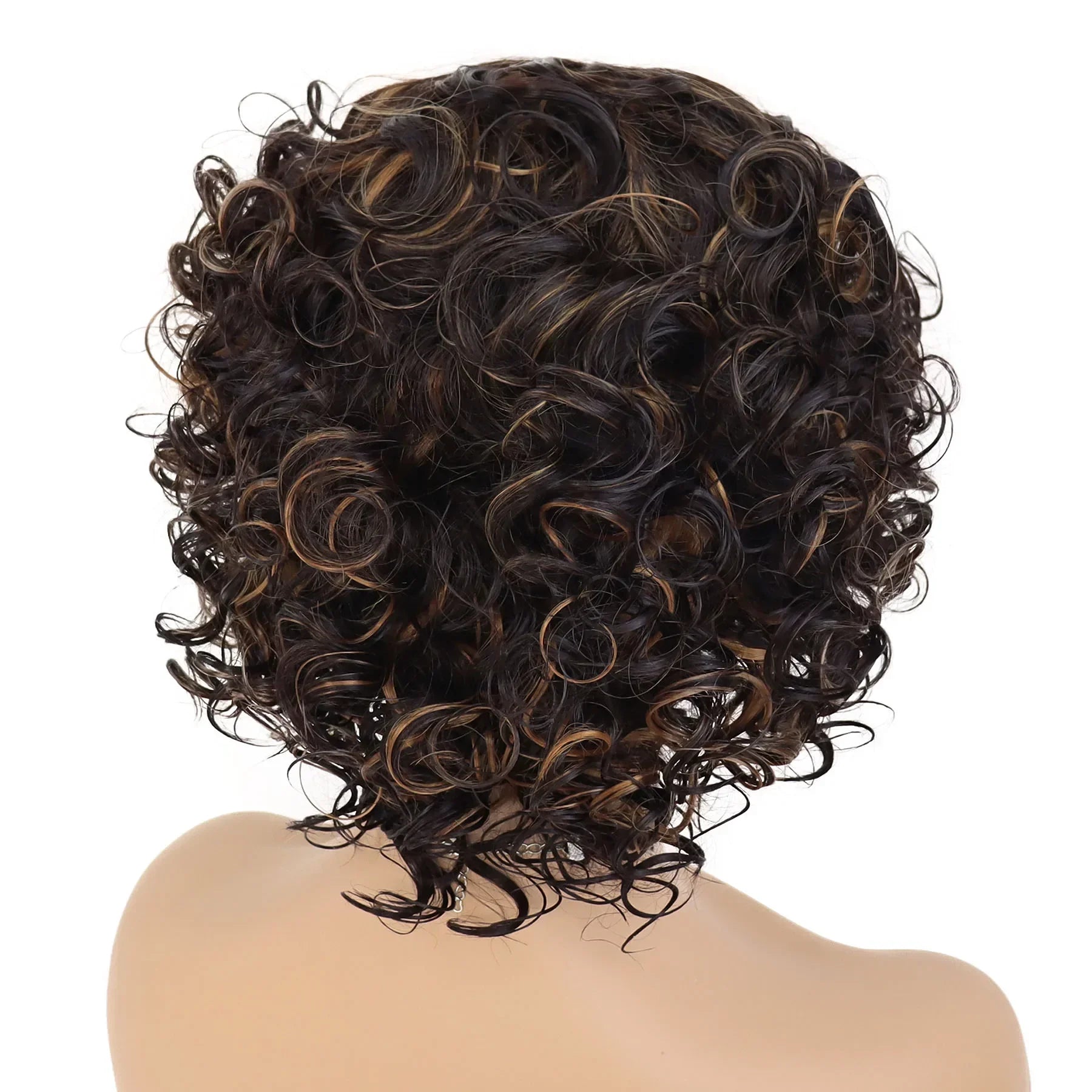 Afro Curly Wigs for Black Women - Short Synthetic Hair Wigs with High Temperature Fiber - Natural Looking & High Quality - Perfect for Daily Wear, Cosplay & Special Occasions