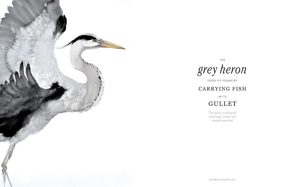 The Book of Birds: Stunning Bird Art for Home Decor & Gifts | Beautiful Avian Paintings & Illustrations for Nature Lovers, Wall Art & Coffee Table Books