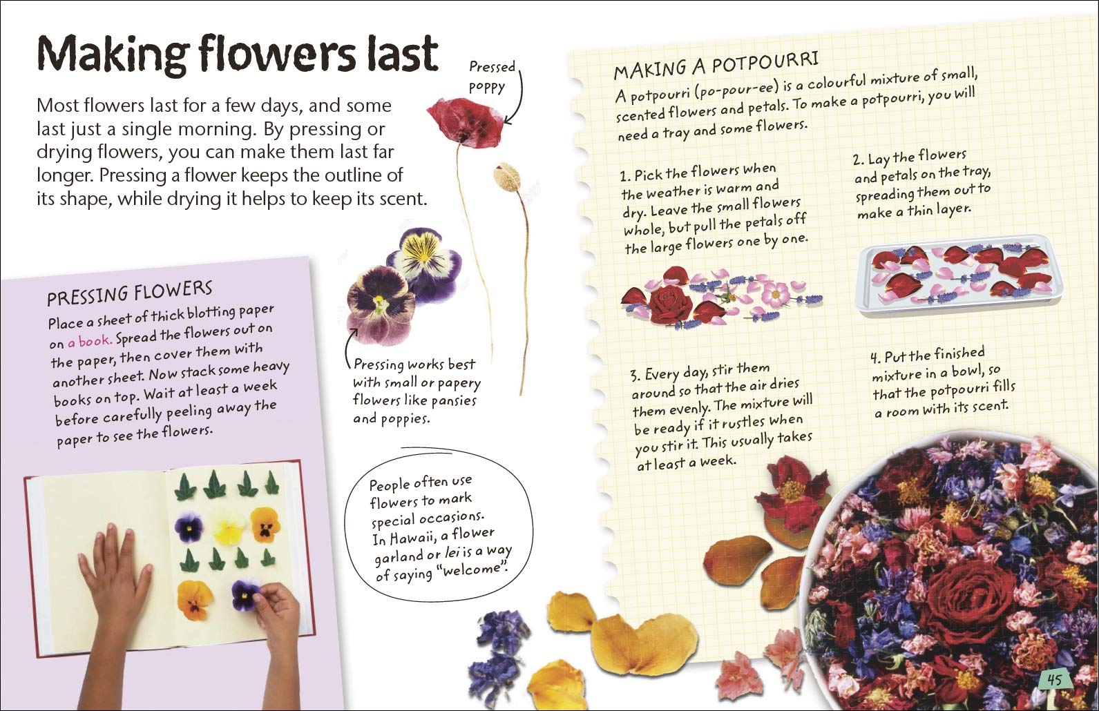 Nature Explorers Flowers - Beautiful Floral Collection for Home Decor, Wedding Bouquets & Garden Landscaping