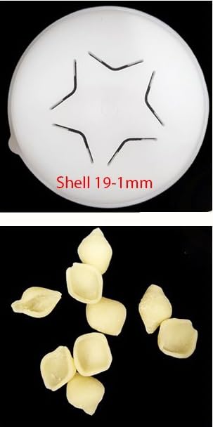 Shell 19-1mm