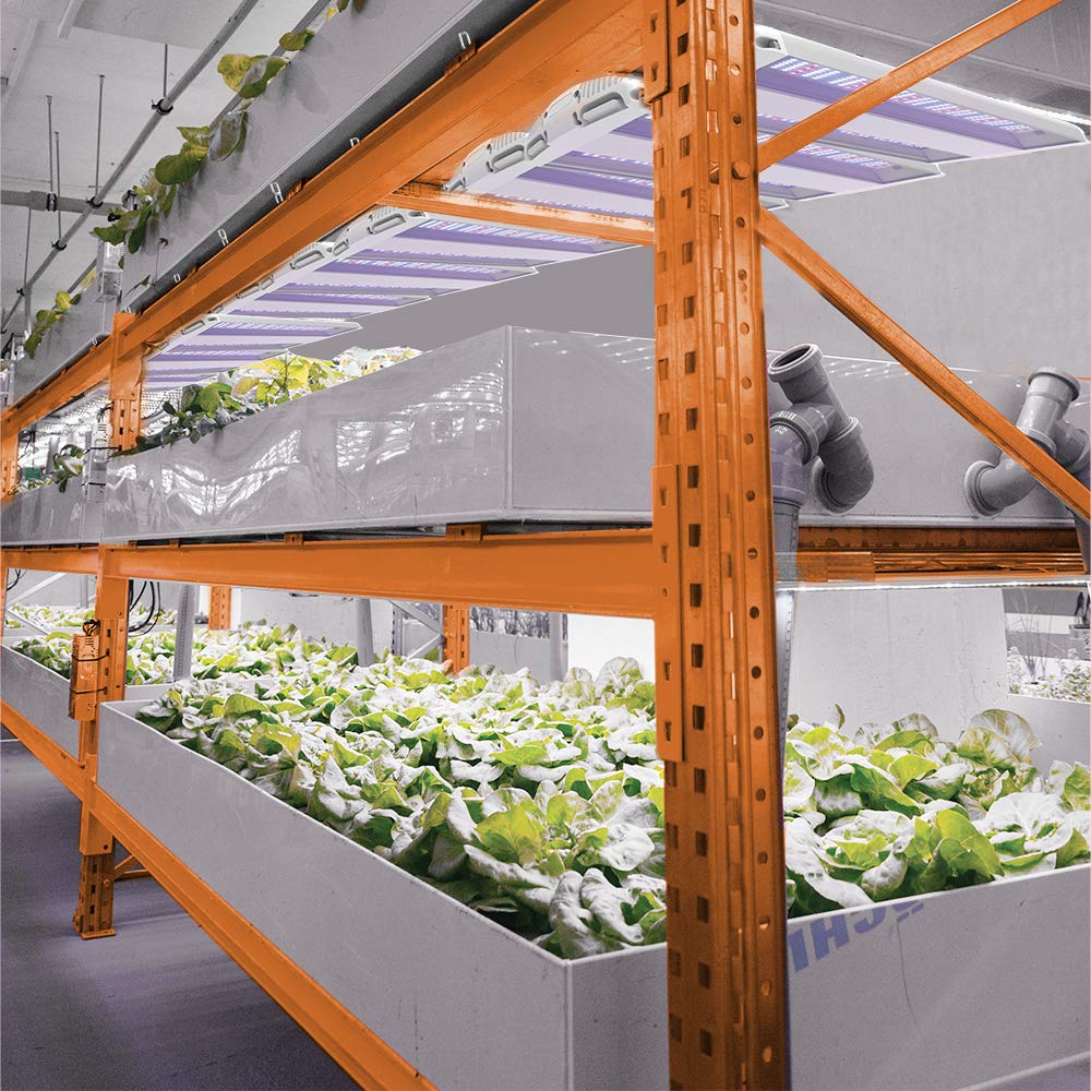 Feit Electric 20 Inch 175W Full Spectrum LED Grow Light for Indoor Plants - High Bay Blue-Enriched Spectrum for Vegetables, Herbs & Hydroponics - Perfect for Greenhouses, Grow Tents & Vertical Farming