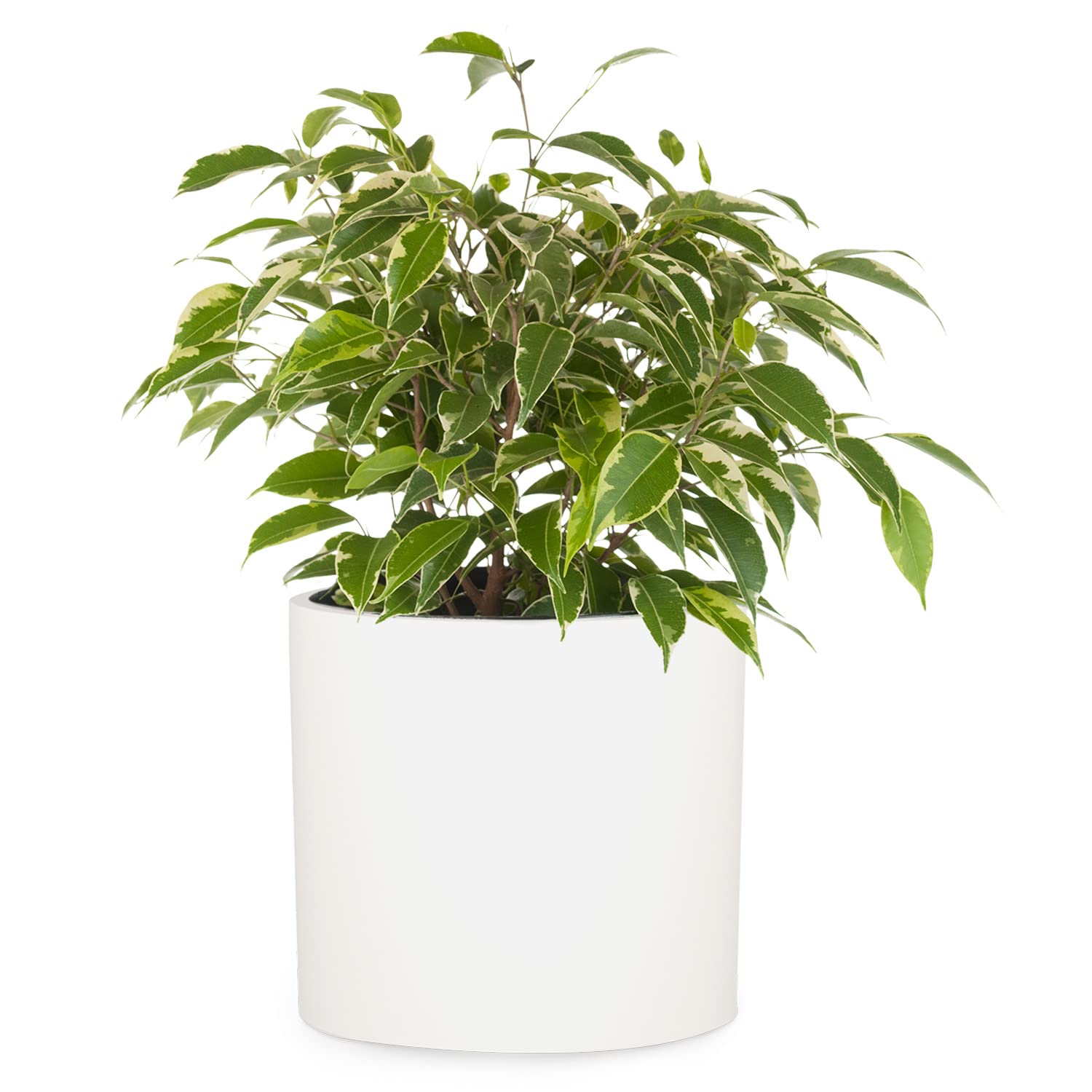Premium 8 Inch Fiberstone Planter with Drainage - Lightweight Matte White Indoor/Outdoor Plant Pot - Weather & UV Resistant - Perfect for Home Decor, Patio, Garden, and Office Plants