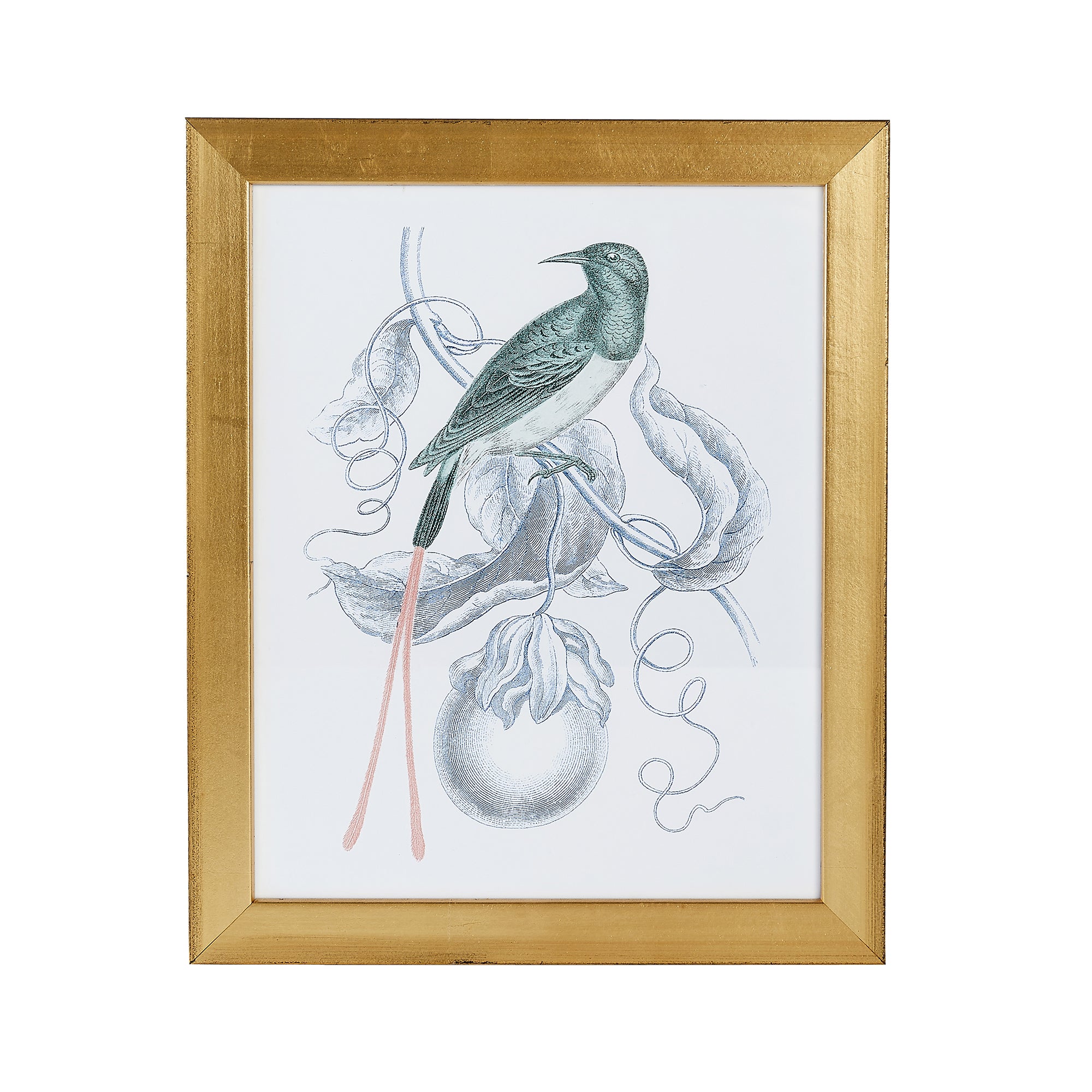 Hummingbird Print T-Shirt - Cute & Colorful Hummingbird Design for Women & Men - Perfect for Casual Wear, Outdoor Activities & Gifts