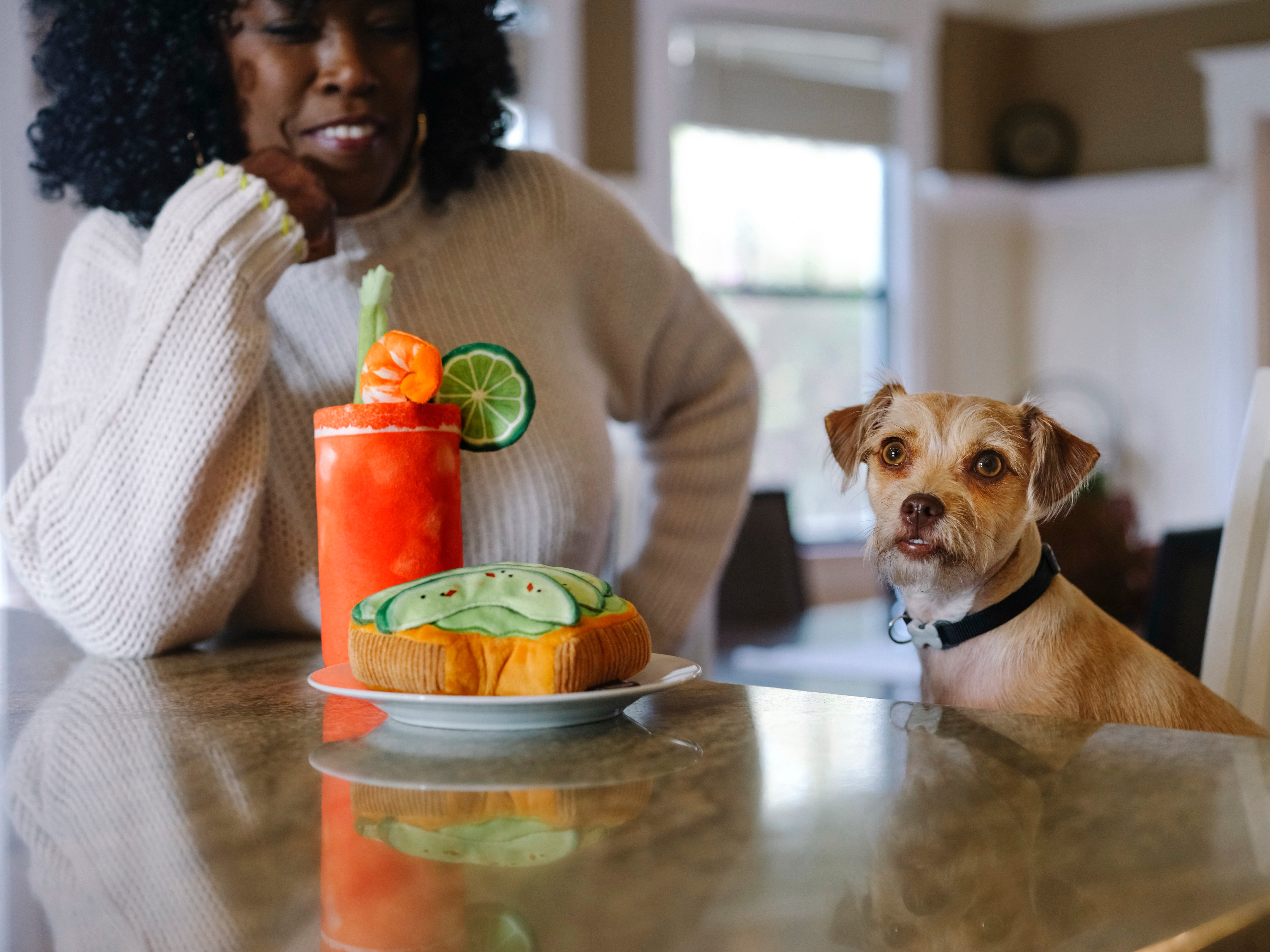 Avocado Toast Plush Dog Toy - Barking Brunch™ Soft Chew Toy for Dogs | Pet P.L.A.Y. | Perfect for Playtime, Training & Cuddling