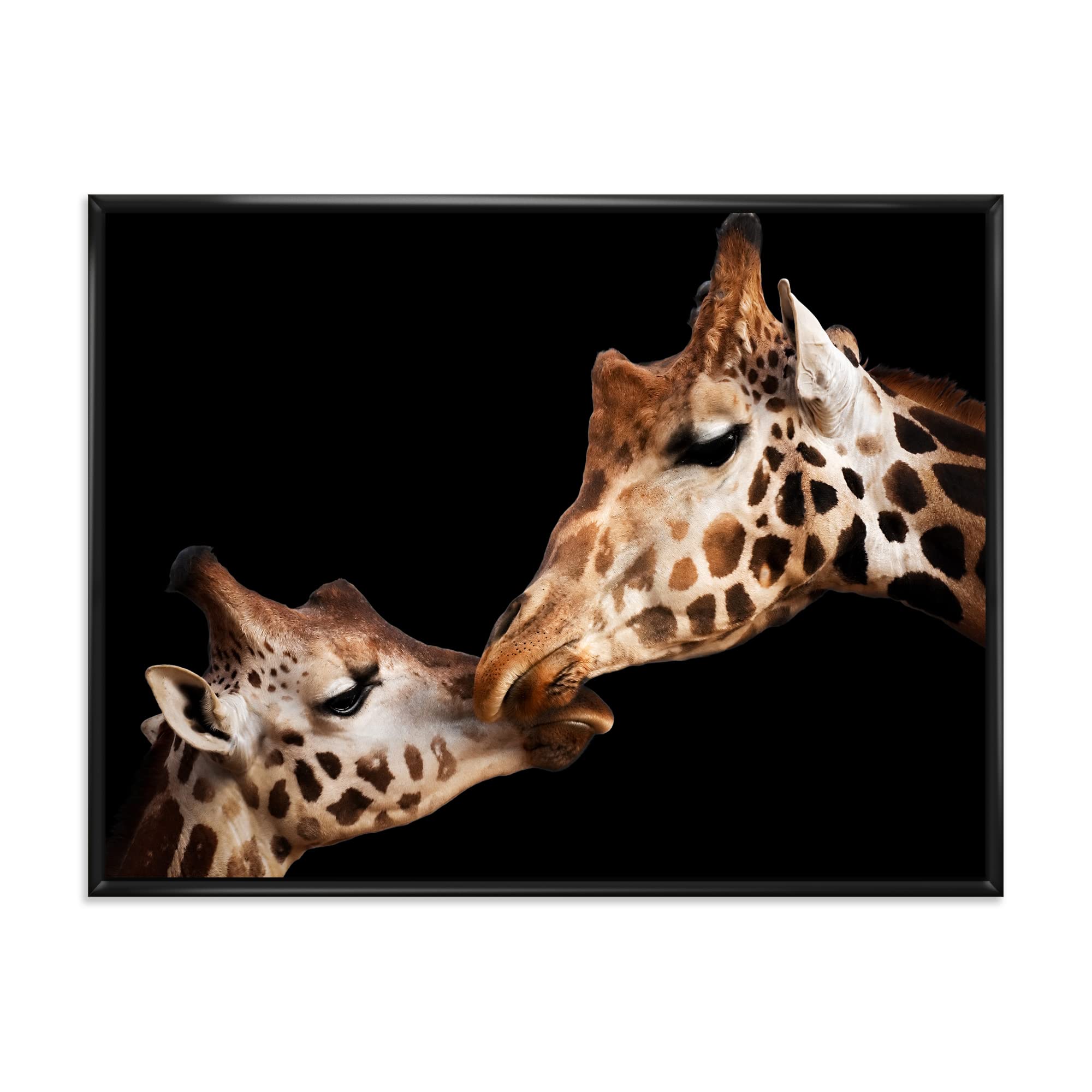 DesignQ Two Giraffes Kissing Portrait II - Farmhouse Framed Canvas Wall Art Print for Living Room, Bedroom & Nursery Decor