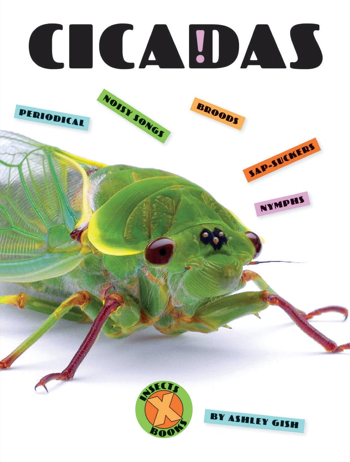 Cicadas Book - ISBN 9781608189892 - Perfect for Nature Lovers & Entomology Studies