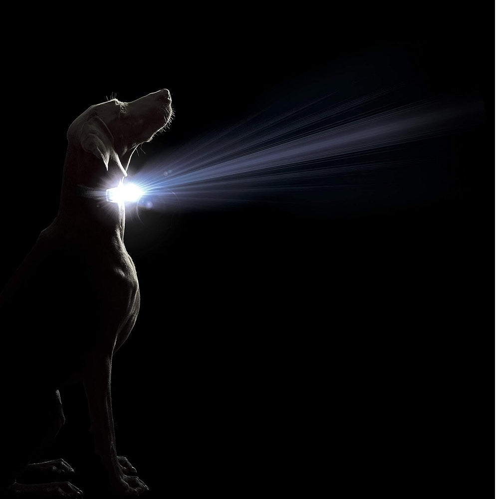 Comet LED Safety Dog Collar - High Visibility Reflective Light Up Collar for Night Walking, Jogging & Outdoor Adventures - Waterproof & Adjustable Pet Collar for Small Medium Large Dogs