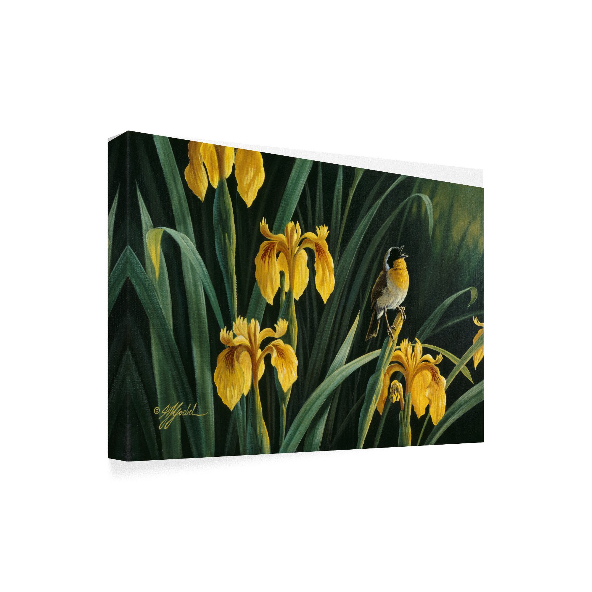 Wilhelm Goebel Yellow Flags and Yellowthroat Wall Art - 30x47 Inch Floral Landscape Painting for Home, Office, and Garden Decor