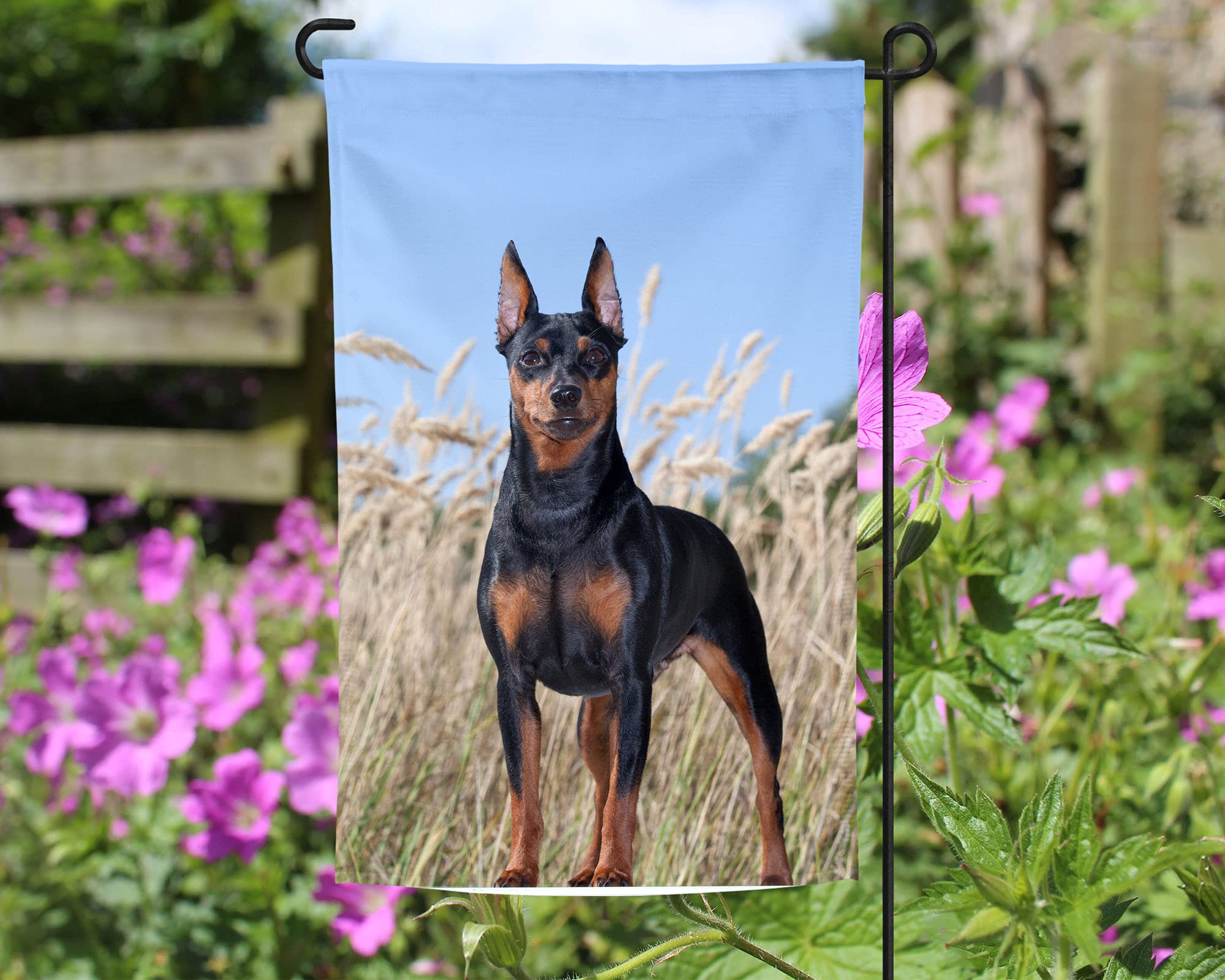 Miniature Pinscher Garden Flag - Double-Sided Outdoor Decorative Flag for Dog Lovers | Perfect for Yard, Patio, Garden Decor & Min Pin Enthusiast Gifts