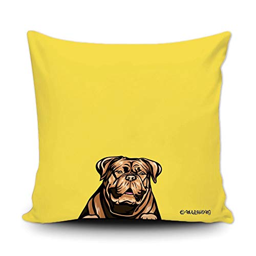 Dogue De Bordeauzx-5