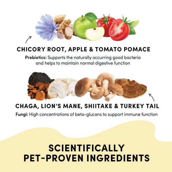Crump's Naturals Gutsy Immune Bites for Dogs - Probiotic Chews for Immune Support & Digestive Health - Perfect for Daily Wellness Routine and Travel
