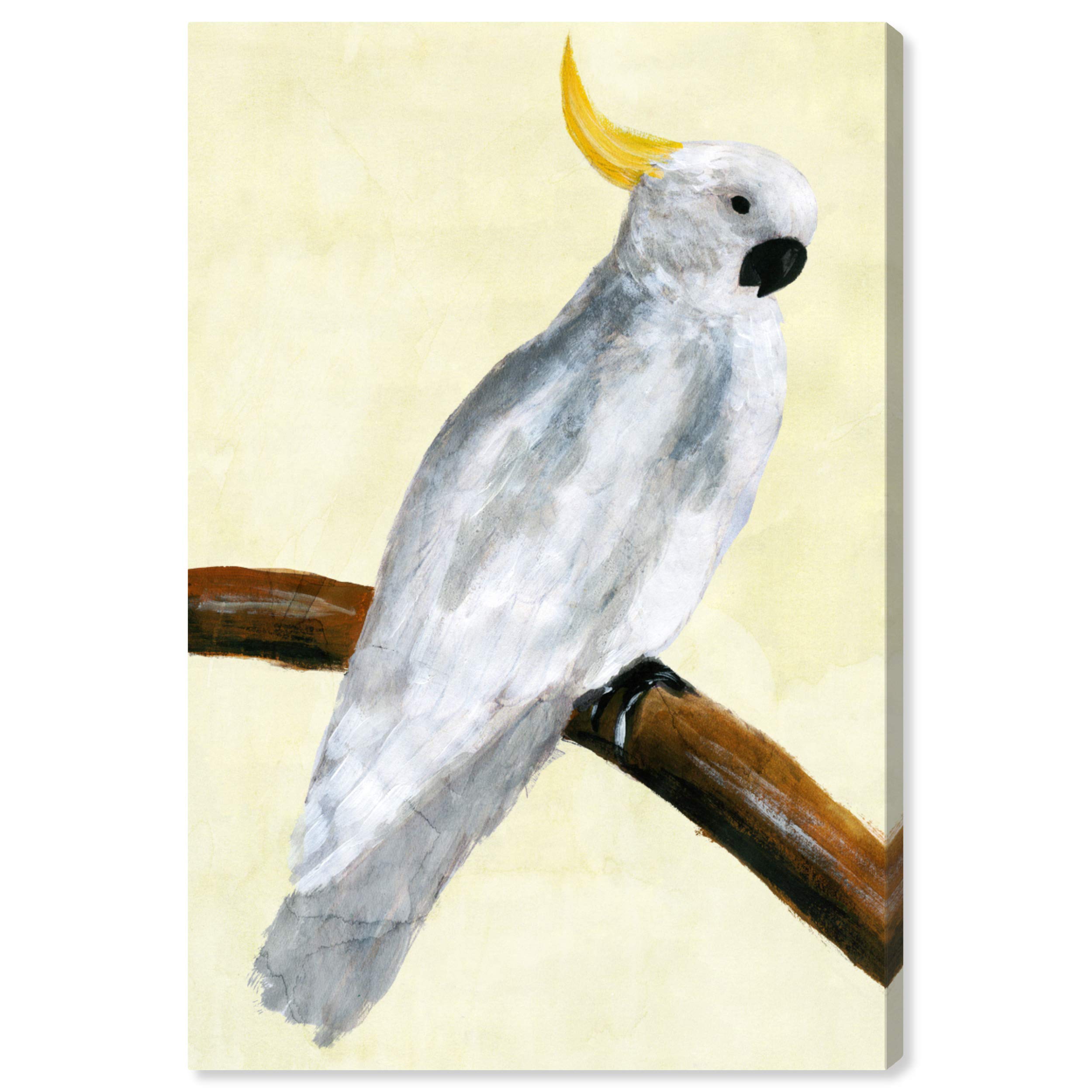 Elegant Cockatoo Wall Art Canvas Print - 20
