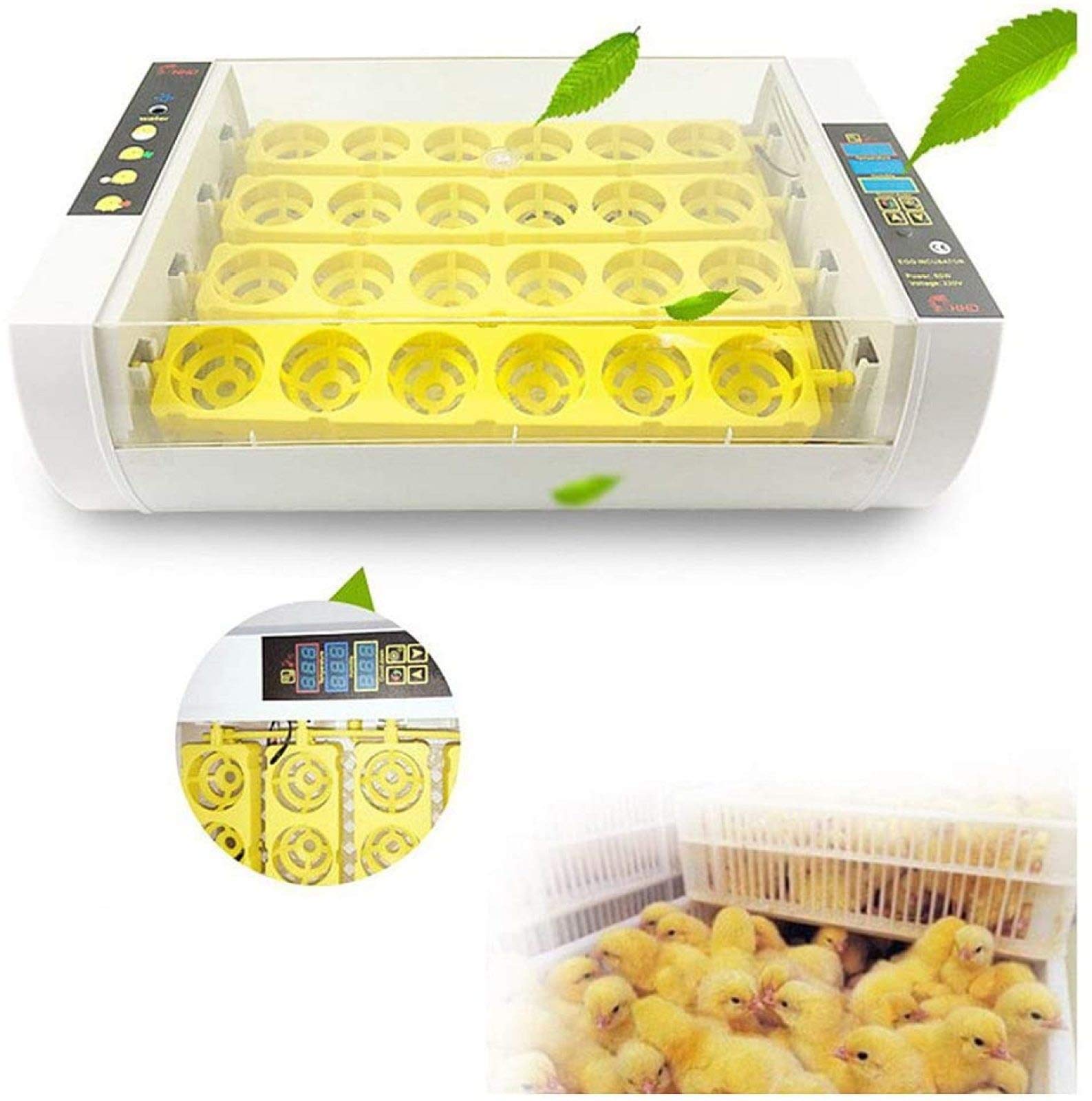 Automatic Digital Egg Incubator for Chicken Ducks Geese - 24 Egg Capacity Poultry Hatcher with Temperature & Humidity Control, Auto Egg Turner, Clear View (US Plug) - Perfect for Home Farming, Classroom Projects & Backyard Poultry Breeding