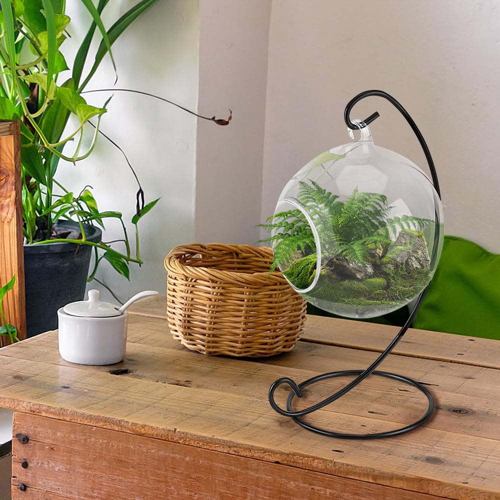 Air Plant Terrarium Kit with Hanging Glass Vase & Metal Stand - Tabletop Display for Succulents, Small Plants | Home Office Decor, Gift Idea for Plant Lovers
