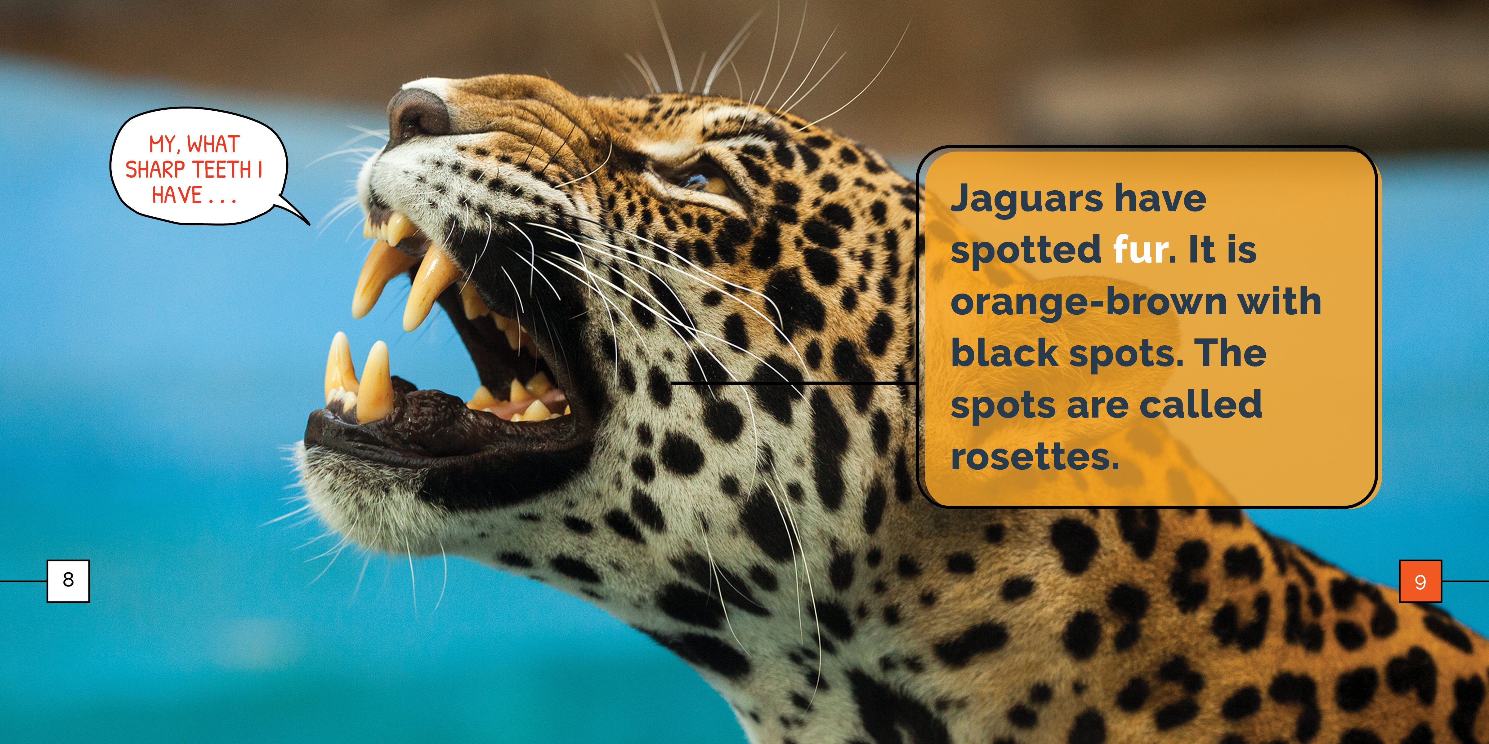 Marvel Jaguars Comics & Collectibles - Superhero Gifts for Fans & Collectors | Perfect for Cosplay, Home Decor & Comic Book Lovers