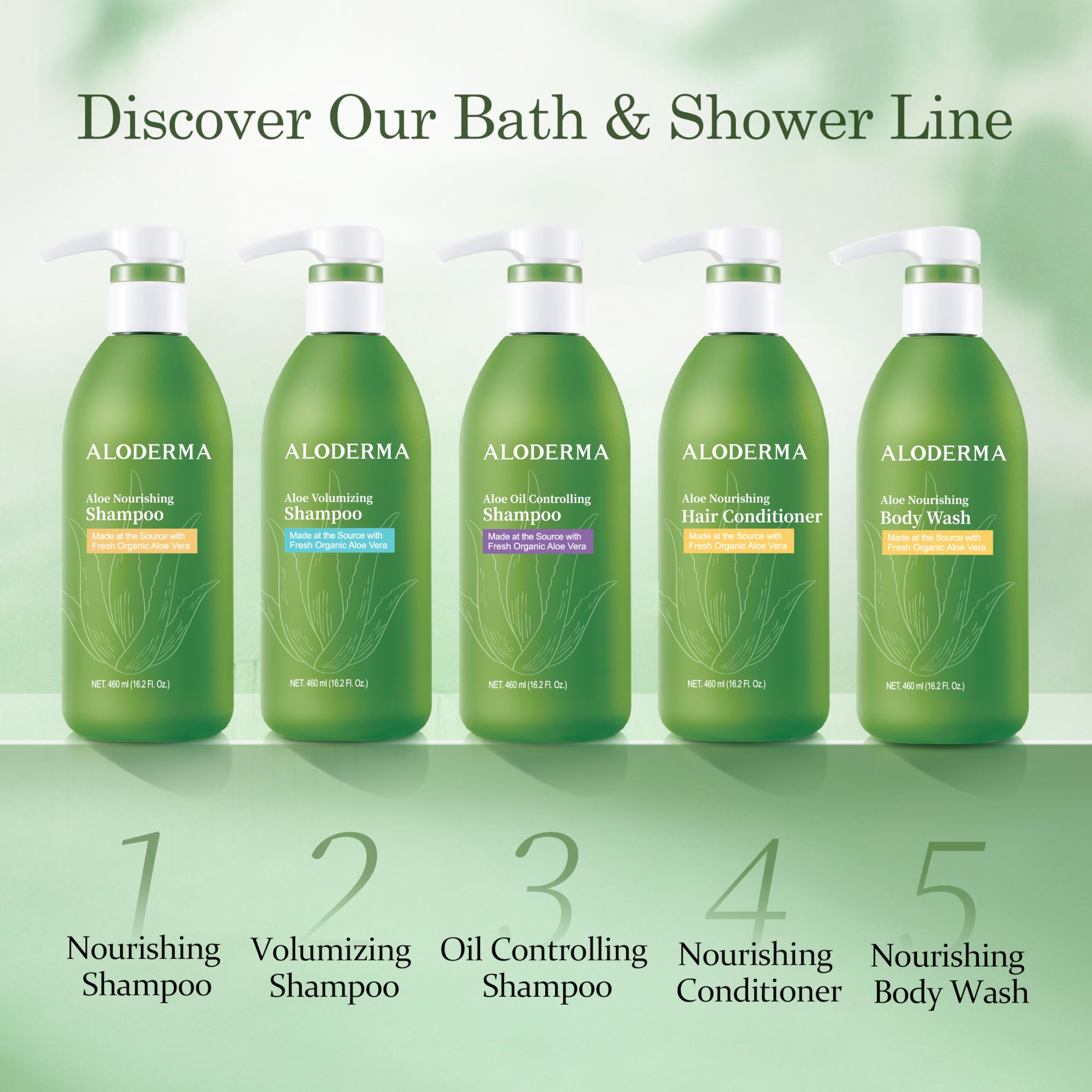 Aloderma Aloe Hair & Body Care Set - Oil Control Shampoo, Aloe Vera Gel with Tea Tree Oil (300g) for Hydration & Scalp Care | Perfect for Daily Hair Wash & Skin Moisturizing