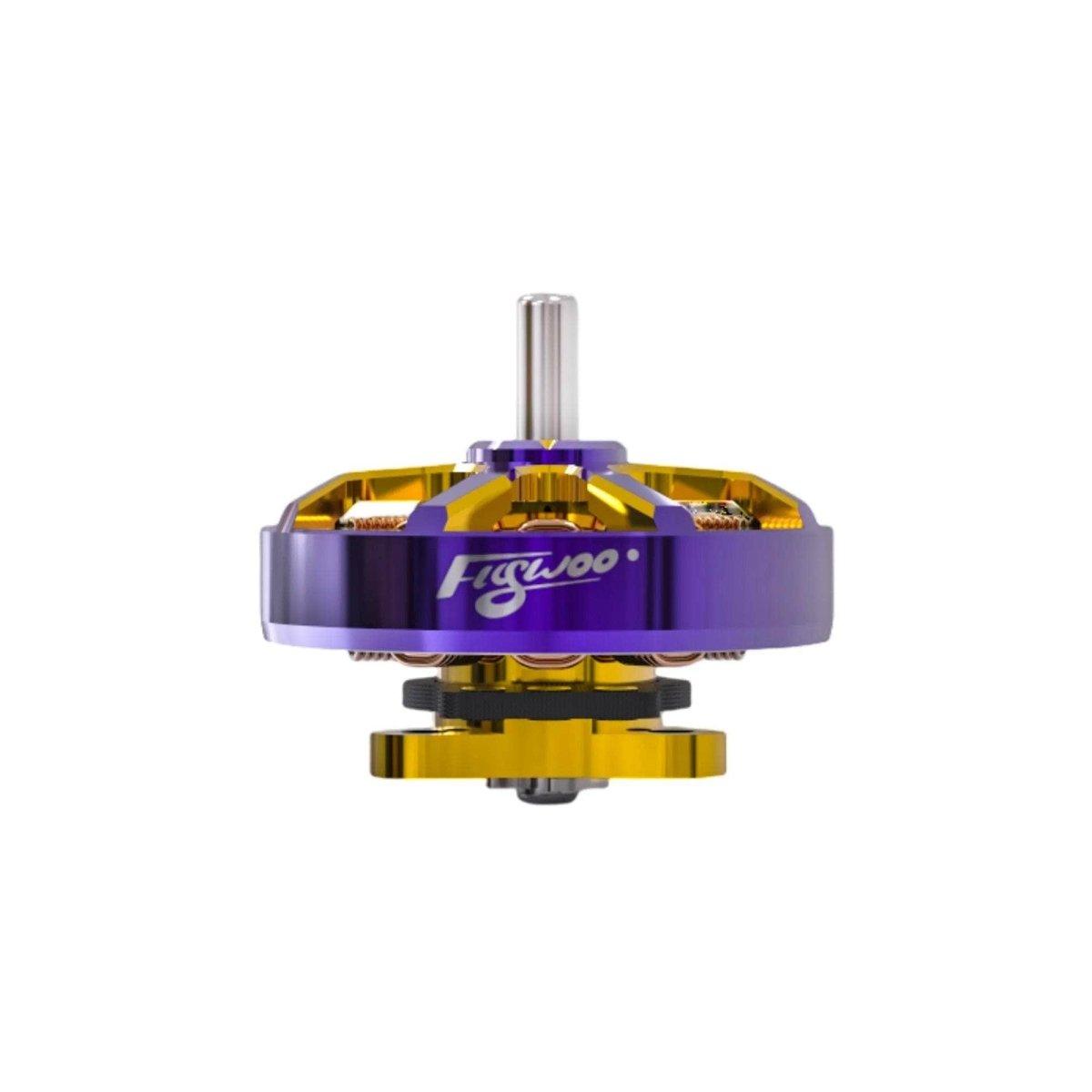 Flywoo Robo 1002 23,500Kv Brushless Micro Motor for FPV Drones - High-Speed RC Quadcopter Upgrade, Perfect for Tiny Whoop Racing and Indoor Drone Flying