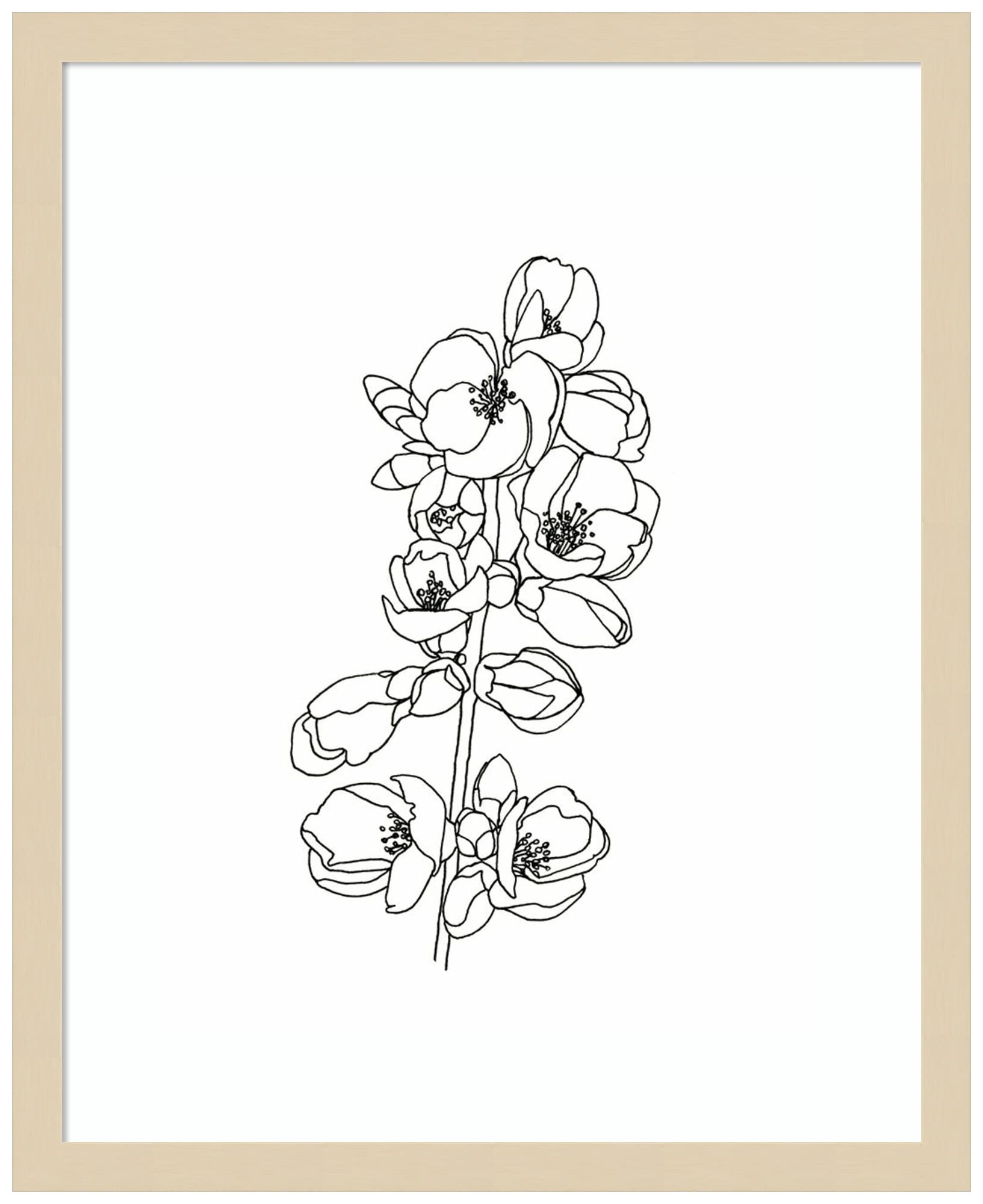 Emma Scarvey Quince Blossom Contour I Framed Wall Art Print - 17x21 Inches Natural Wood Frame - Perfect for Living Room, Bedroom & Office Decor