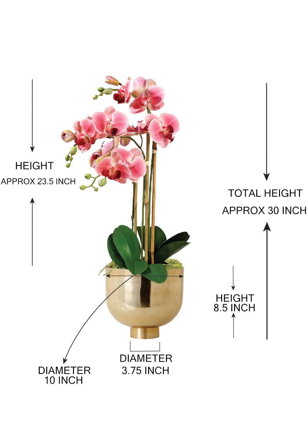 Serene Spaces Living DIY Orchid Kit - Realistic Pink Orchid in Pot with Gold Compote Bowl & Preserved Moss - Elegant Home Decor for Entryway, Foyer Table, Wedding Centerpiece, and Special Events - Perfect Gift Idea for Housewarming or Anniversary