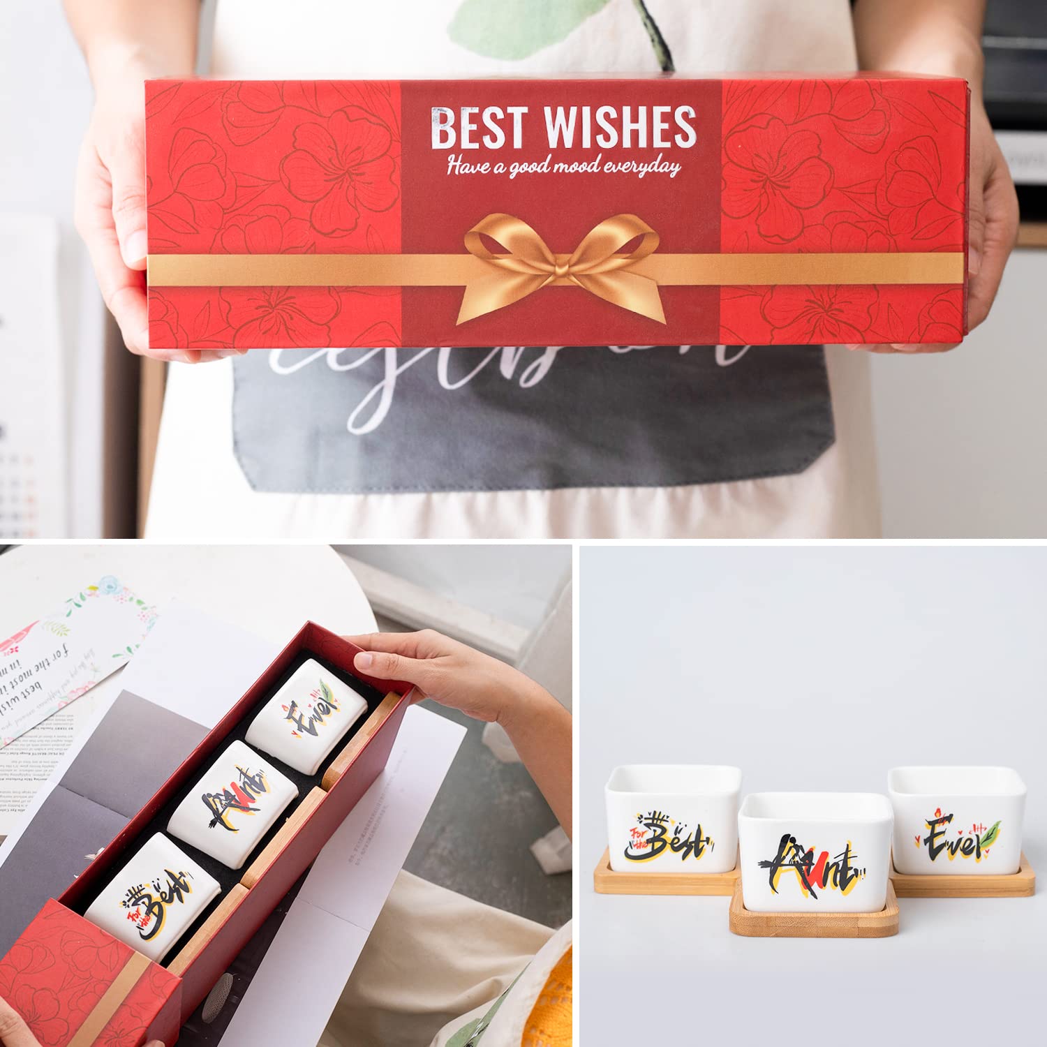 Best Aunt Ever Gifts for Women - Unique Succulent Plant Pots, Perfect Birthday or Christmas Present from Niece/Nephew | Ideal for Home Decor, Office Desk & Special Occasions