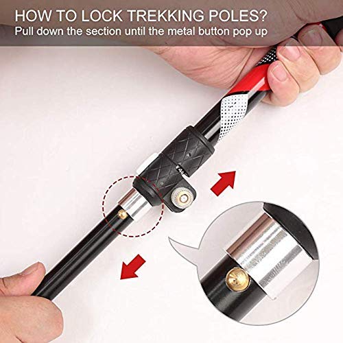 Premium Nordic Walking Trekking Poles - Adjustable Antishock Quick-Lock Telescopic Hiking Sticks for Men & Women | Ultralight Collapsible Design for Hiking, Camping, Backpacking & Outdoor Adventures | Perfect for Trail Walking, Mountain Climbing & Fitness Training