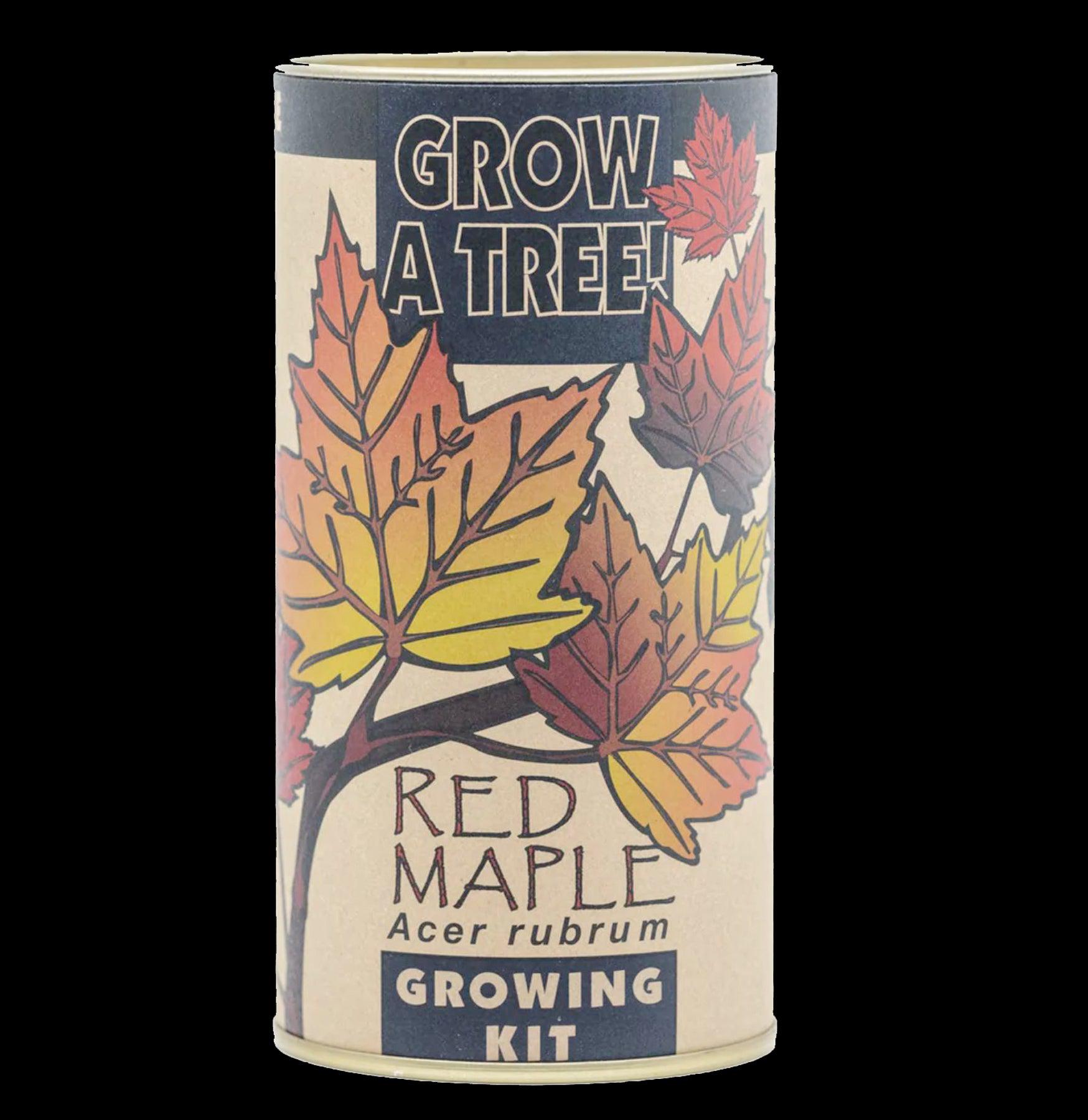 Red Maple Seed Grow Kit - DIY Home Garden Starter Set for Planting & Growing Maple Trees | Perfect for Indoor & Outdoor Gardening, Landscaping, and Nature Lovers