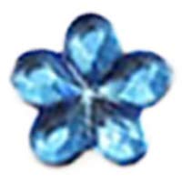 Flower / Blue